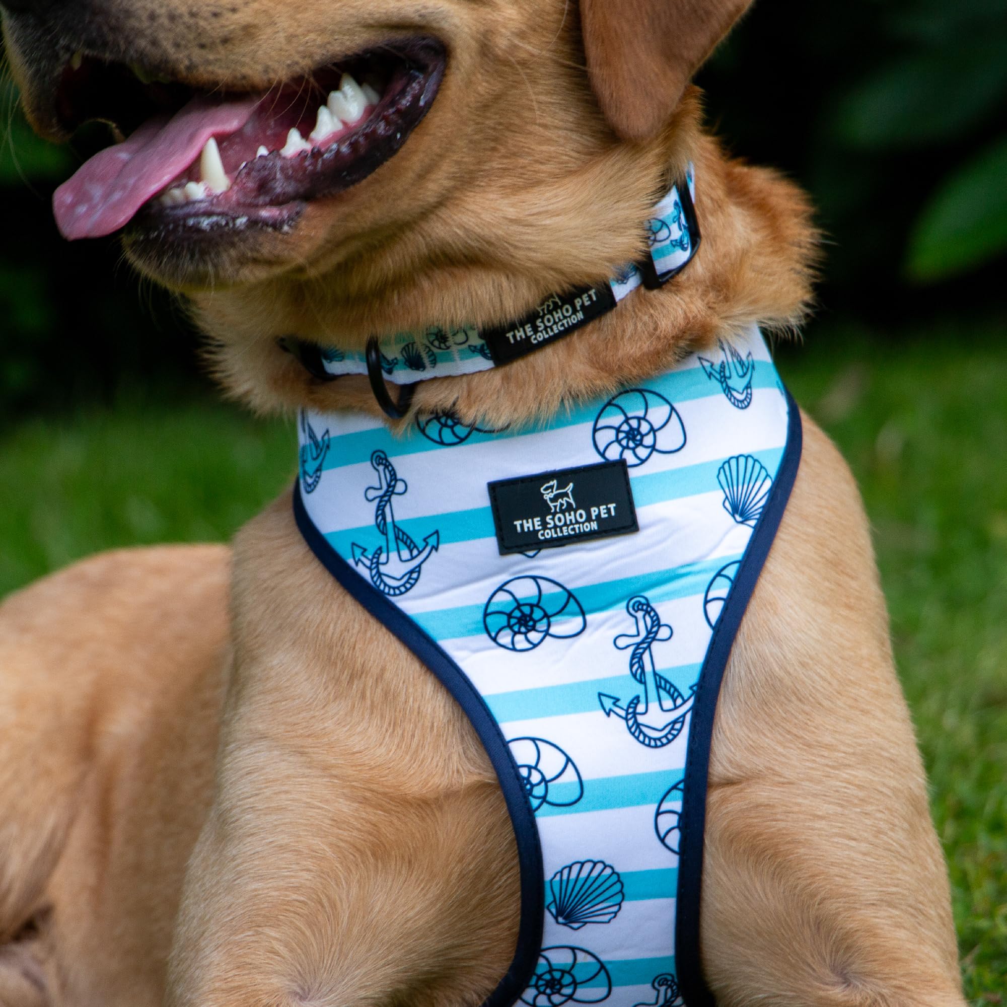 Ancol The Soho Pet Collection Nautical & Coral Reversible Harness XS To Fit 23cm-38cm, White - Image 2