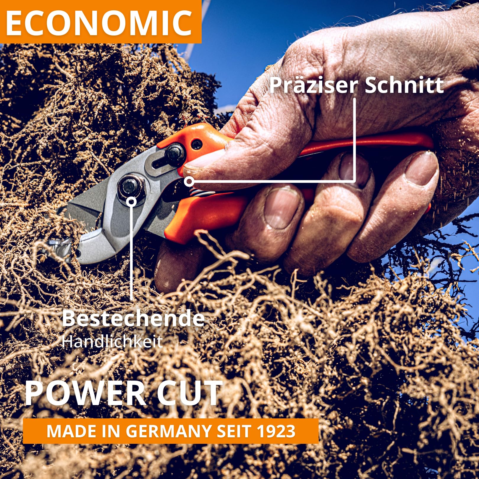 Original LÖWE 15 Profi Amboss Schere 15.104 mit gebogener und antihaftbeschichteter Bypass Klinge - kompakte und starke Schere schneidet ideal hartes Holz wie Kiefer Linde Fichte Lärche