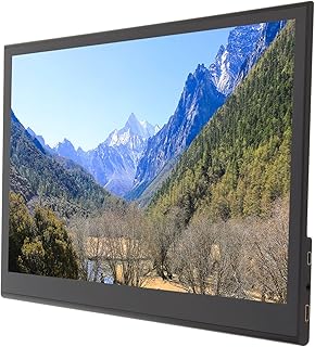 Monitor QLED de 15,6 Polegadas, 1920 X 1080 Ângulo de Visão de 178 Graus Monitor de Toque de 10 Pontos Com Alto-falante, Display DSI QLED para Windows 11 10 8.1 8 7 (plugue da ue)