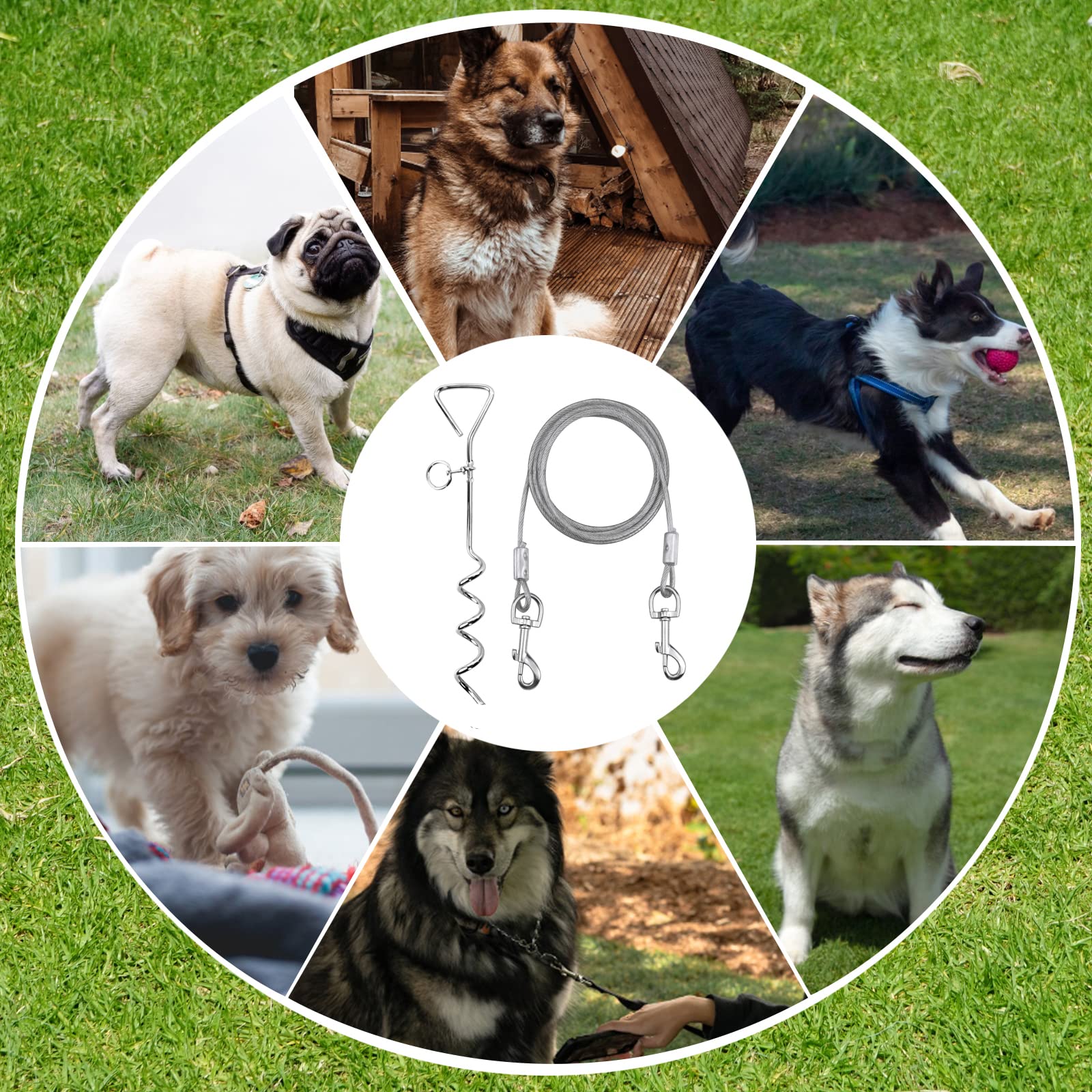 Colexy Anlegespirale Anlegepflock mit Hundeleine, 15 Zoll Anlegepflöcke für Hunde mit 3M Tie-Out Leinen, Edelstahl Bodenanker für Hof und Camping, Silber, für Kleine Bis Mittlere Hunde