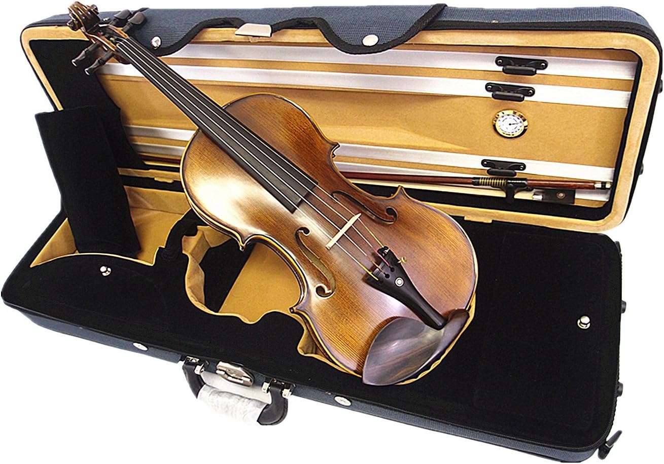 Octagonal Instrument Case Amazon.com: New 4/4 Antique Style Violin+Octagon Stick Bow+Rosin+Square ...