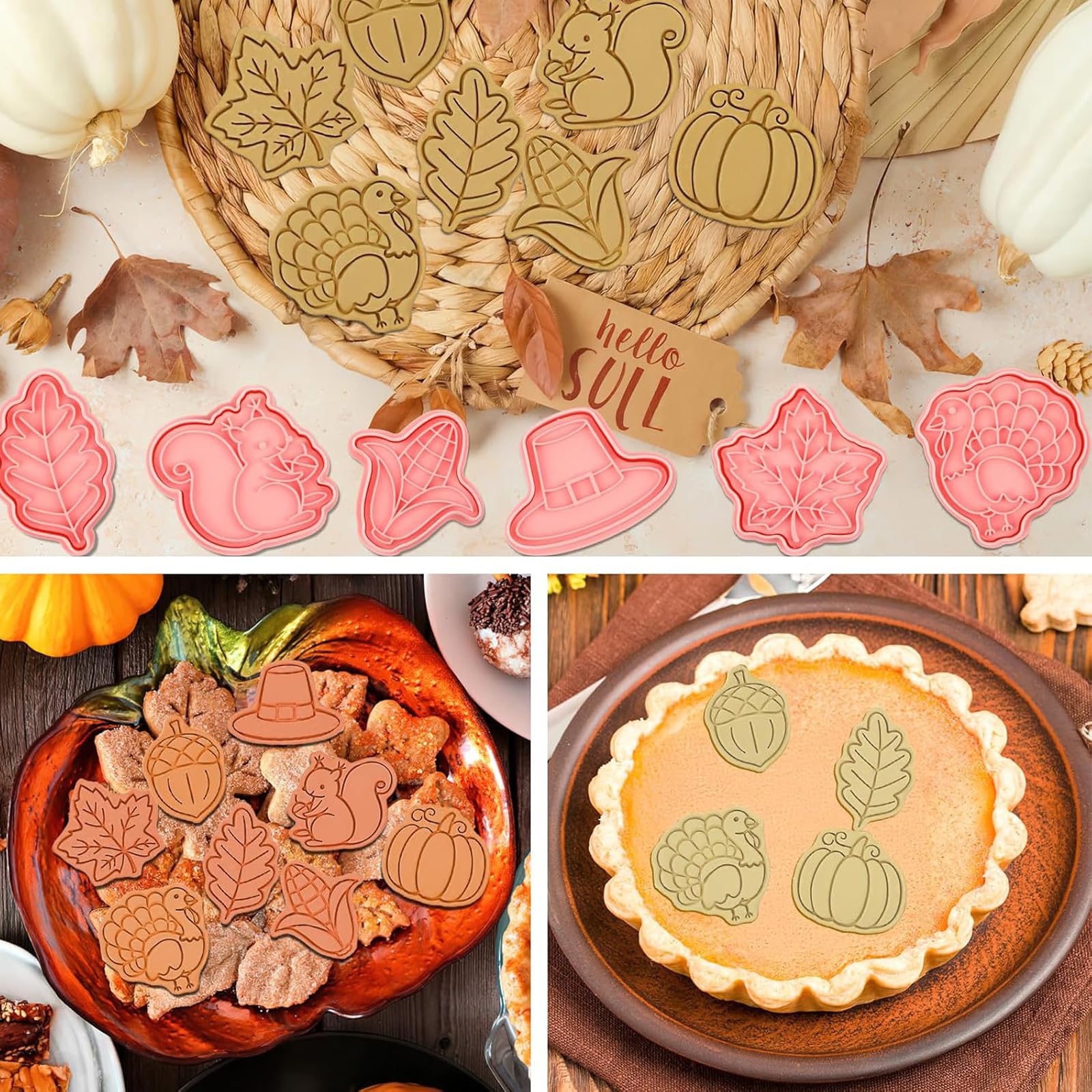 8 Stück Ausstechformen Herbst Erntedankfest, 3D Kürbis Ausstecher, Kunststoff Keksausstecher Herbst, Plätzchen Ausstecher Kinder, DIY Plätzchenausstecher für Fondant, Kekse, Kuchen Deko (Rosa-N) Küche, Haushalt & Wohnen