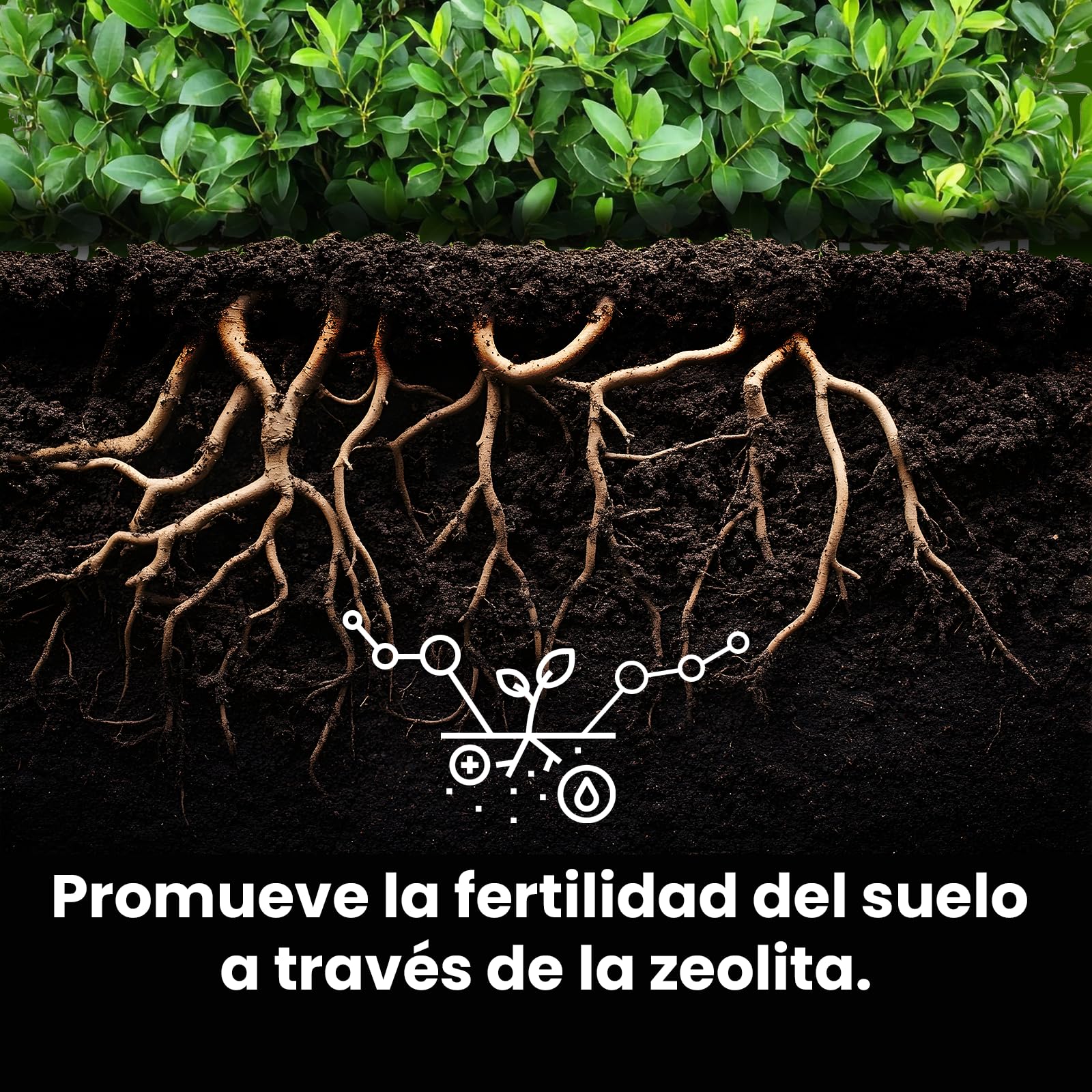LERAVA® Abono setos [orgánico] - fertilizante coniferas - abono coniferas y setos - microflora y fertilidad del suelo - gránulos con zeolita para una óptima retención de nutrientes y humedad - 9kg