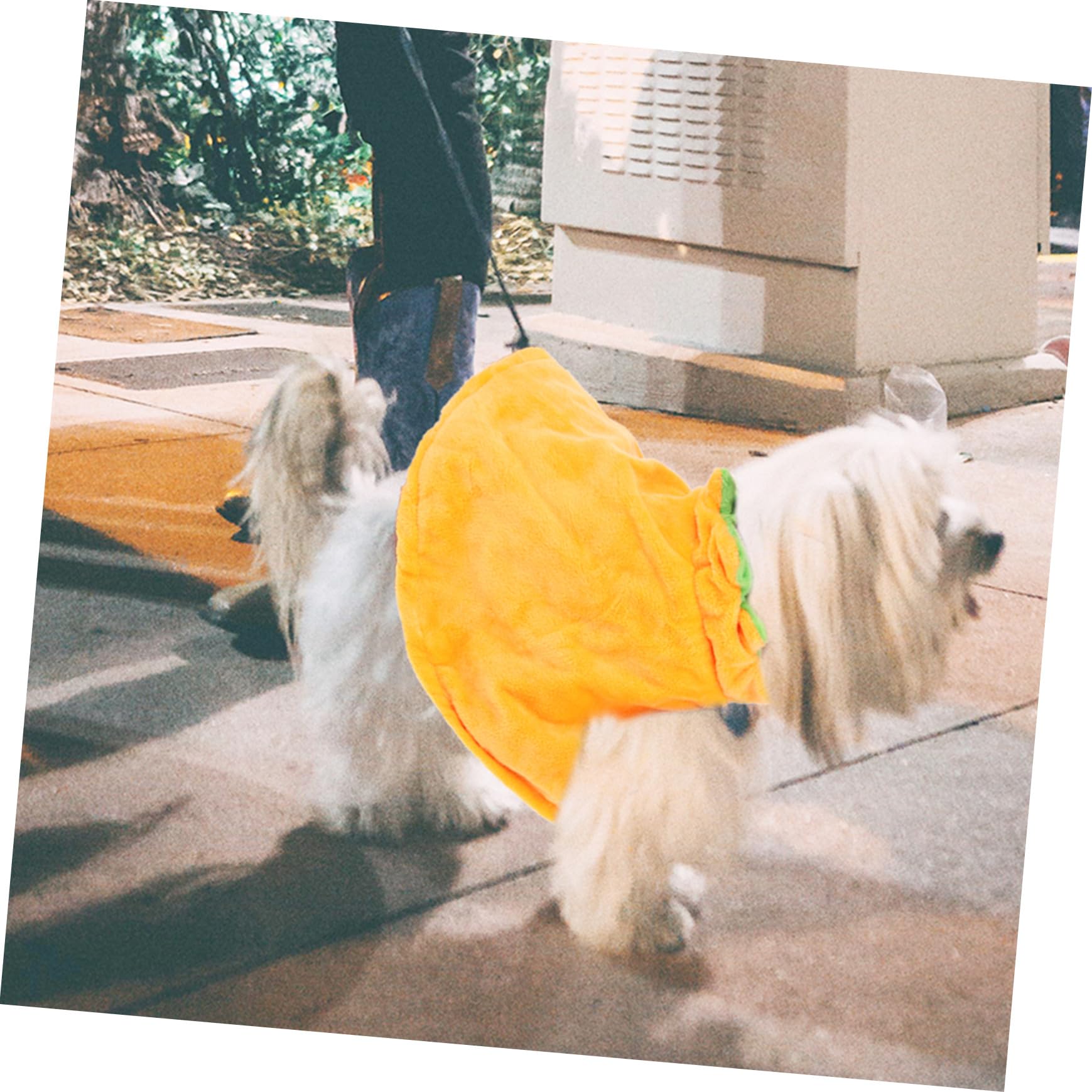BESPORTBLE 2sets Costumi Per Animali Domestici Mantello e Cappello Tema Halloween Per Cani e Gatti Accessori Divertenti Per Feste Di Halloween Adatto Tutte Le Taglie