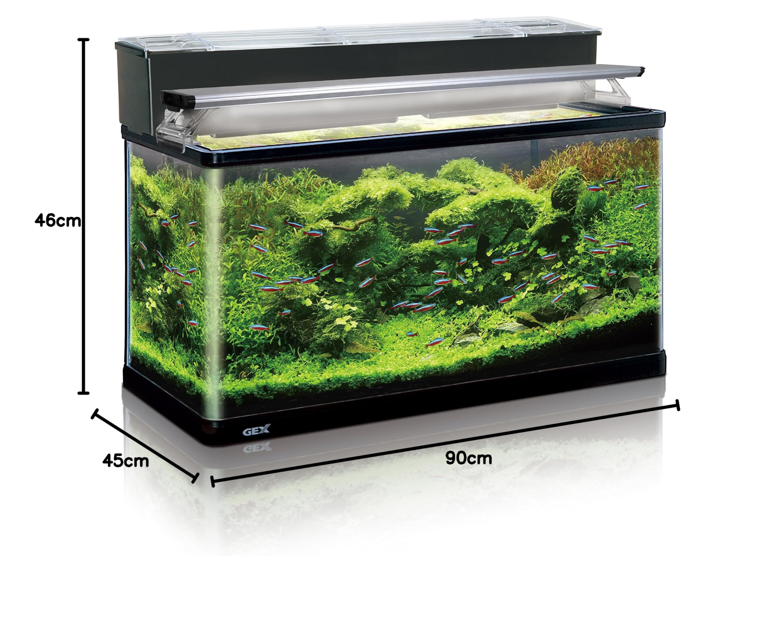 ジェックス GEX AQUARIUM ラピレスRV90 LEDセット Amazon | ジェックス GEX AQUARIUM ラピレスRV90 LEDセット グランデ