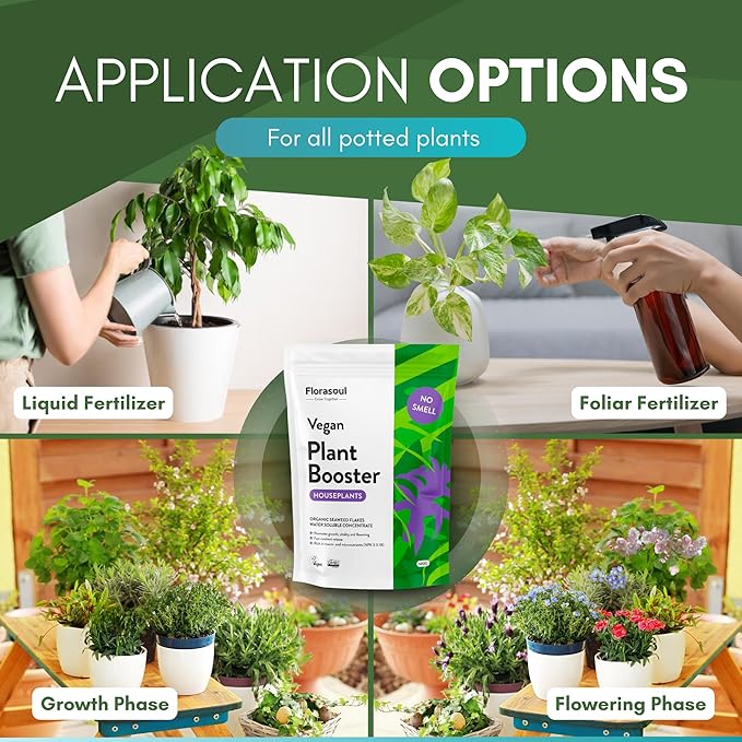 Florasoul Fertilizante Orgánico para Plantas de Interior 500g miniatura 4