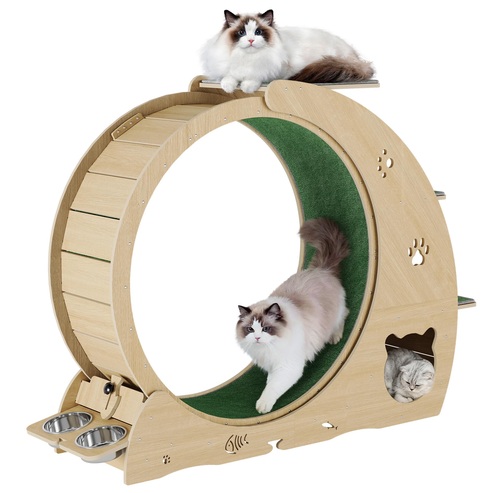 4-in-1 Cat Wheels for Indoor Cats, 40 Inch Large Cat Exercise Wheel, Running Treadmill Wheel with Carpeted Runway, Scratcher