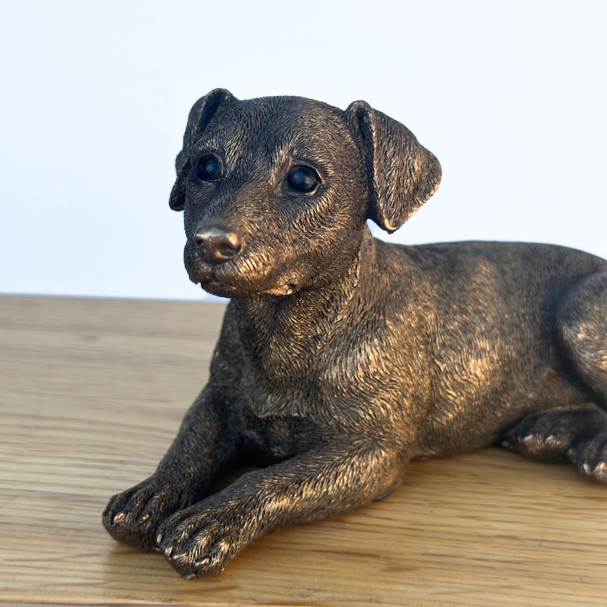 View 4