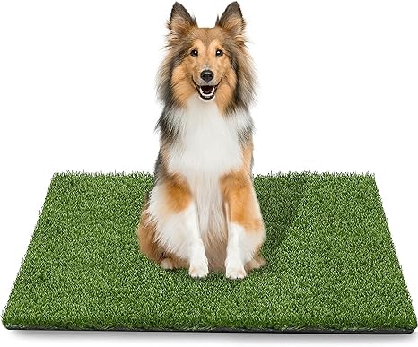 puppy grass pad amazon