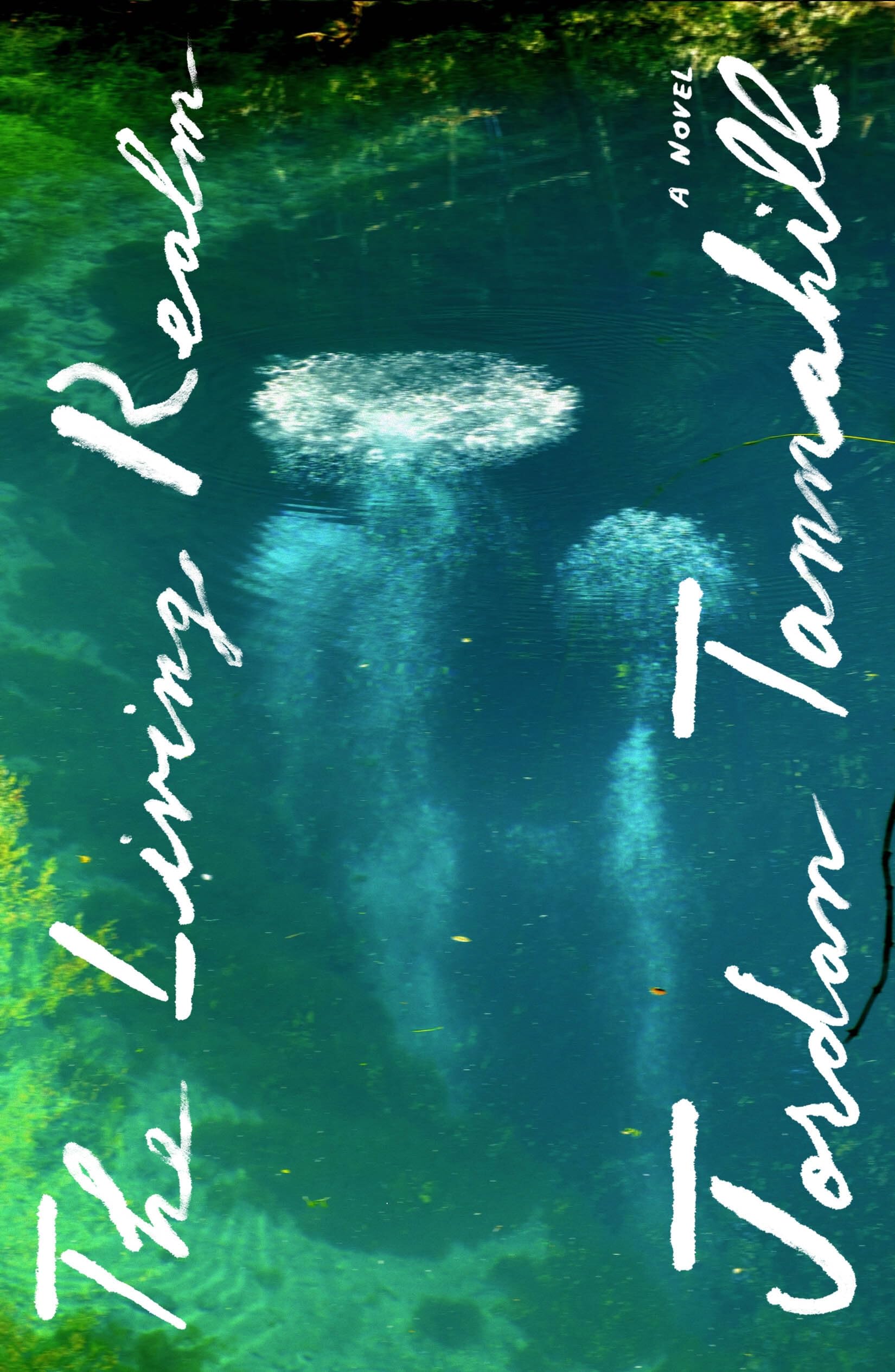 Living Realm: A Novel