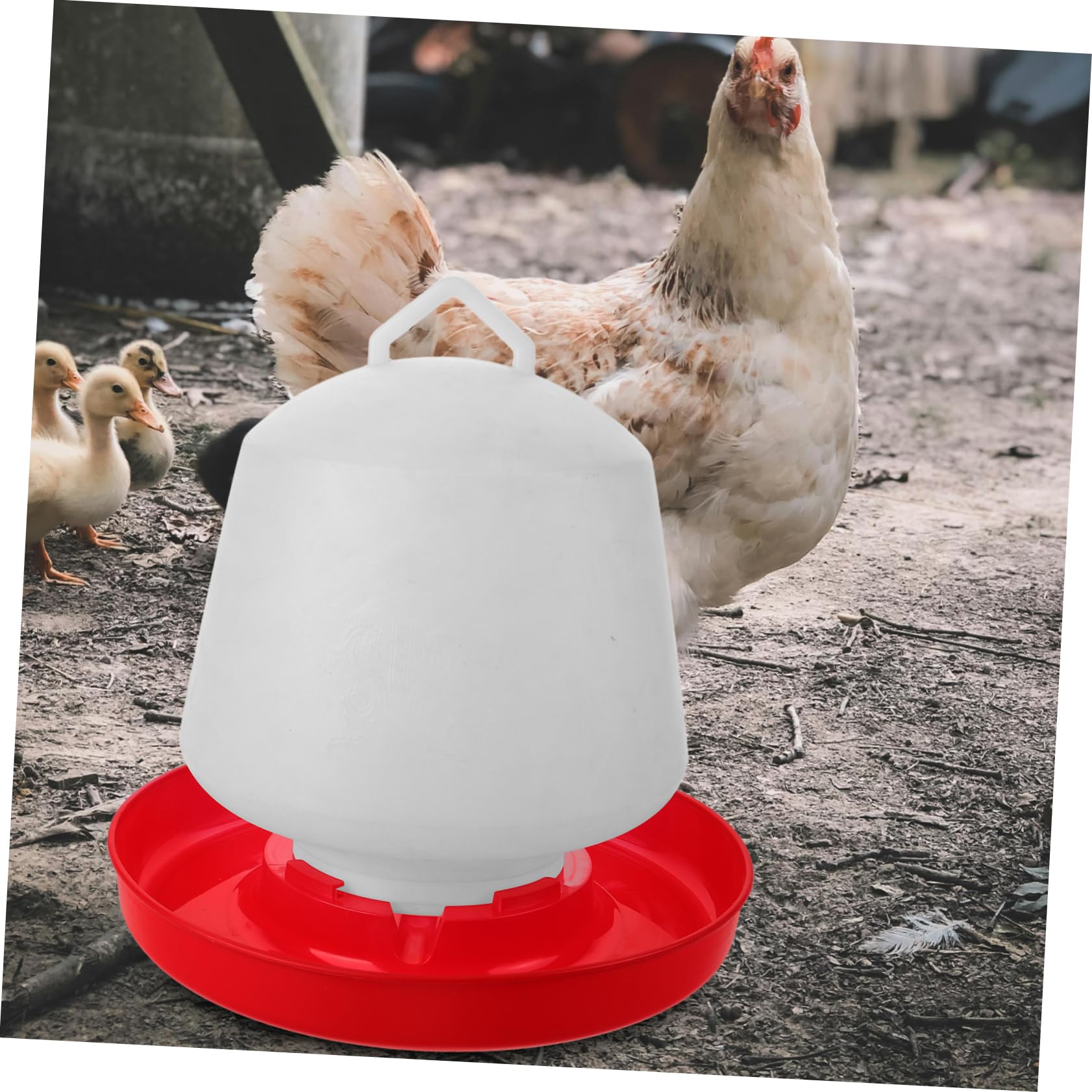 Mangiatoia e Abbeveratoio Pollame in Materiale Resistente Solida e Facile Da Pulire Per Alimenti Secchi e Umidi Capacità Grande Per Galli Anatre e Volatili