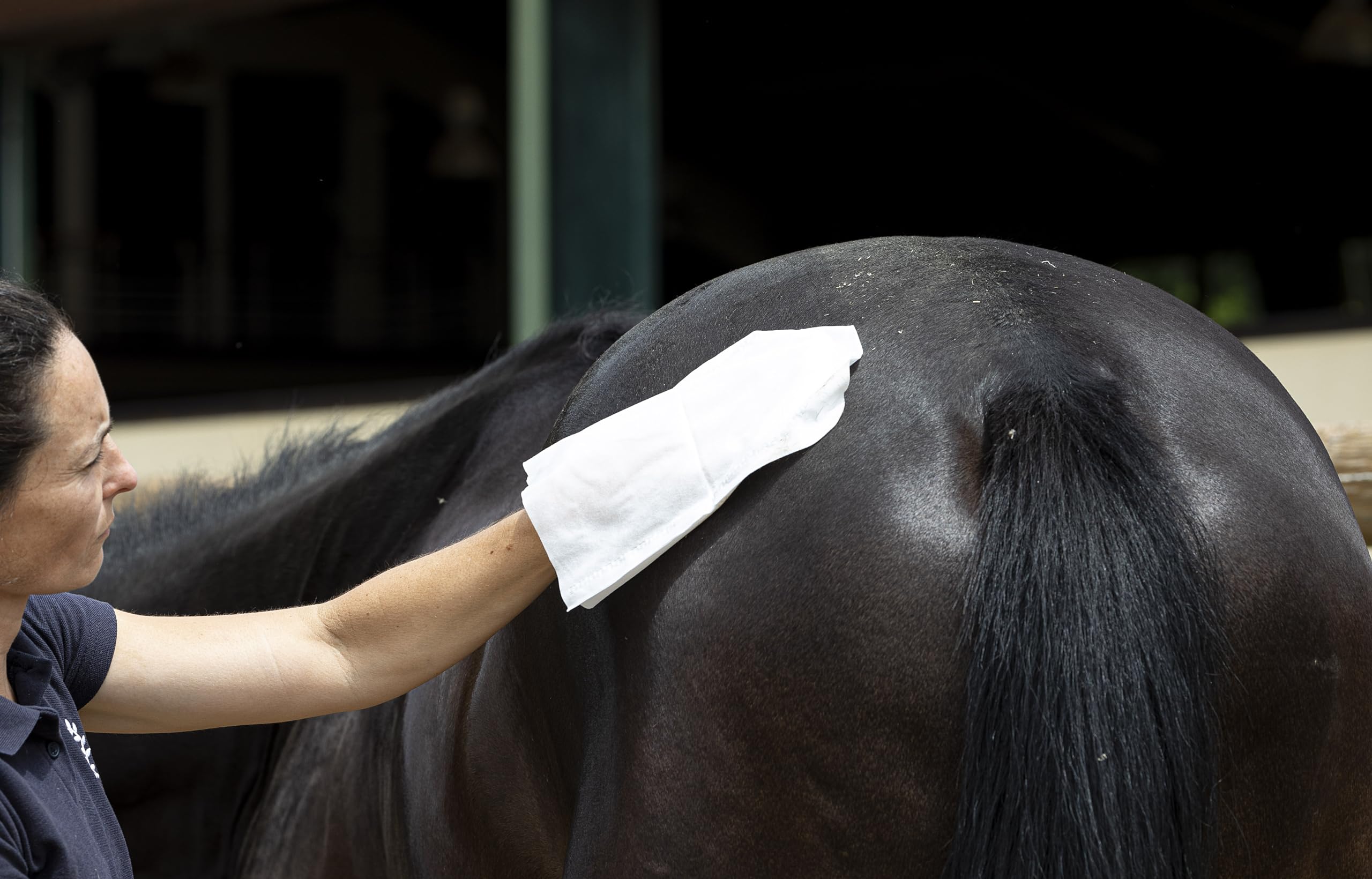 Artero Bops. Guantes de limpieza húmedos para caballos. Para eliminar el polvo y las manchas. Fáciles y rápidos de usar.