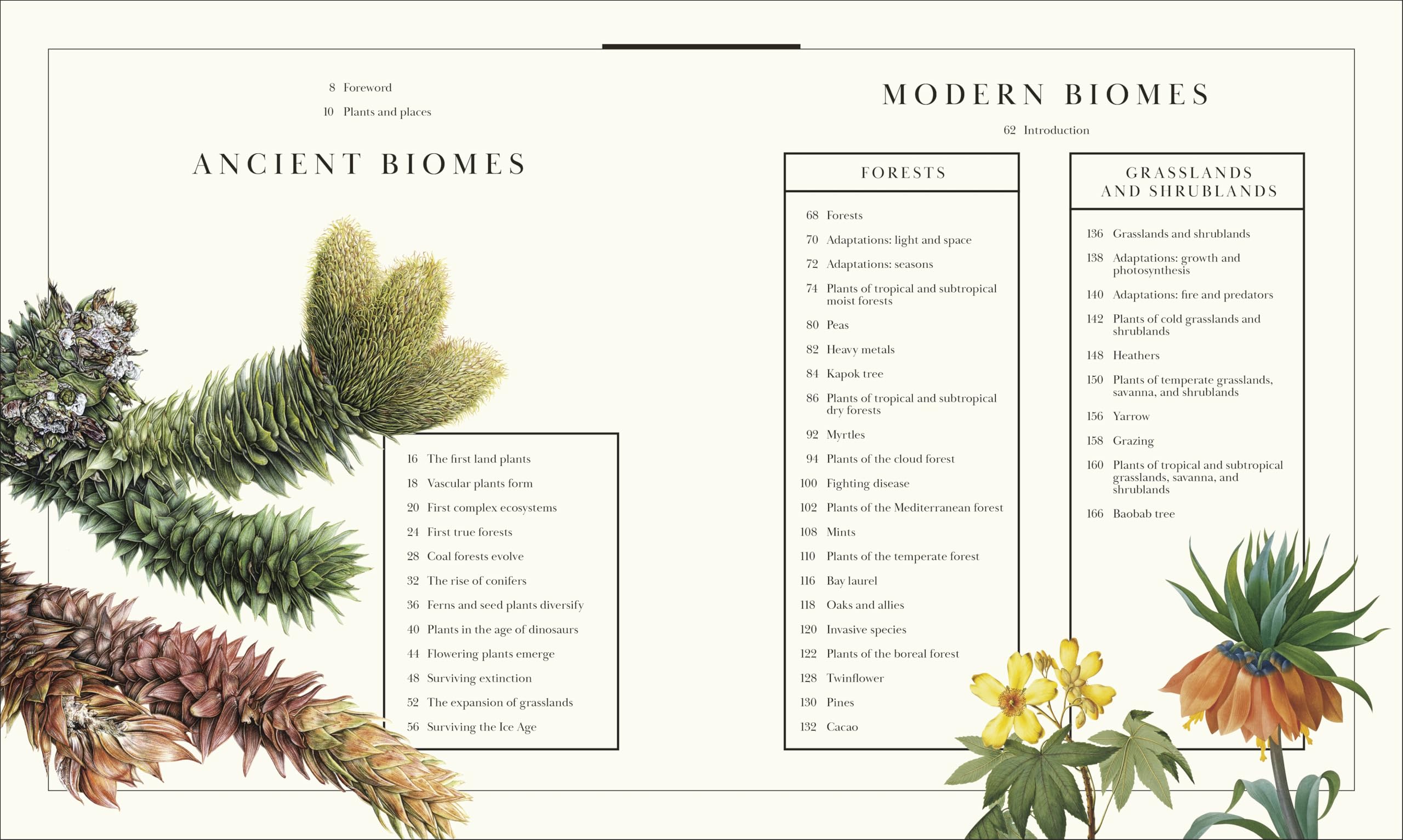 Atlas of Botany: An Exploration of Plants Across Time and Around the World