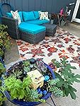 Review Image by Gardener Gardener