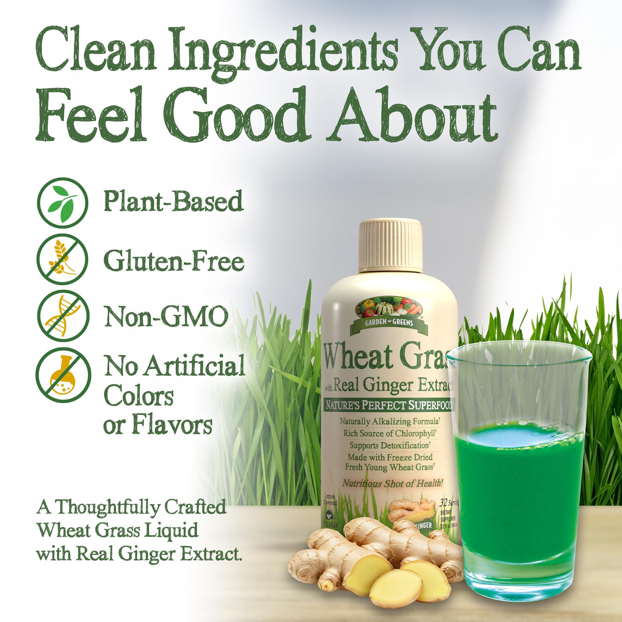 Garden Greens Wheat Grass Liquid with Real Ginger Extract, Nature's Perfect Superfood, 32 servings : Health & Household