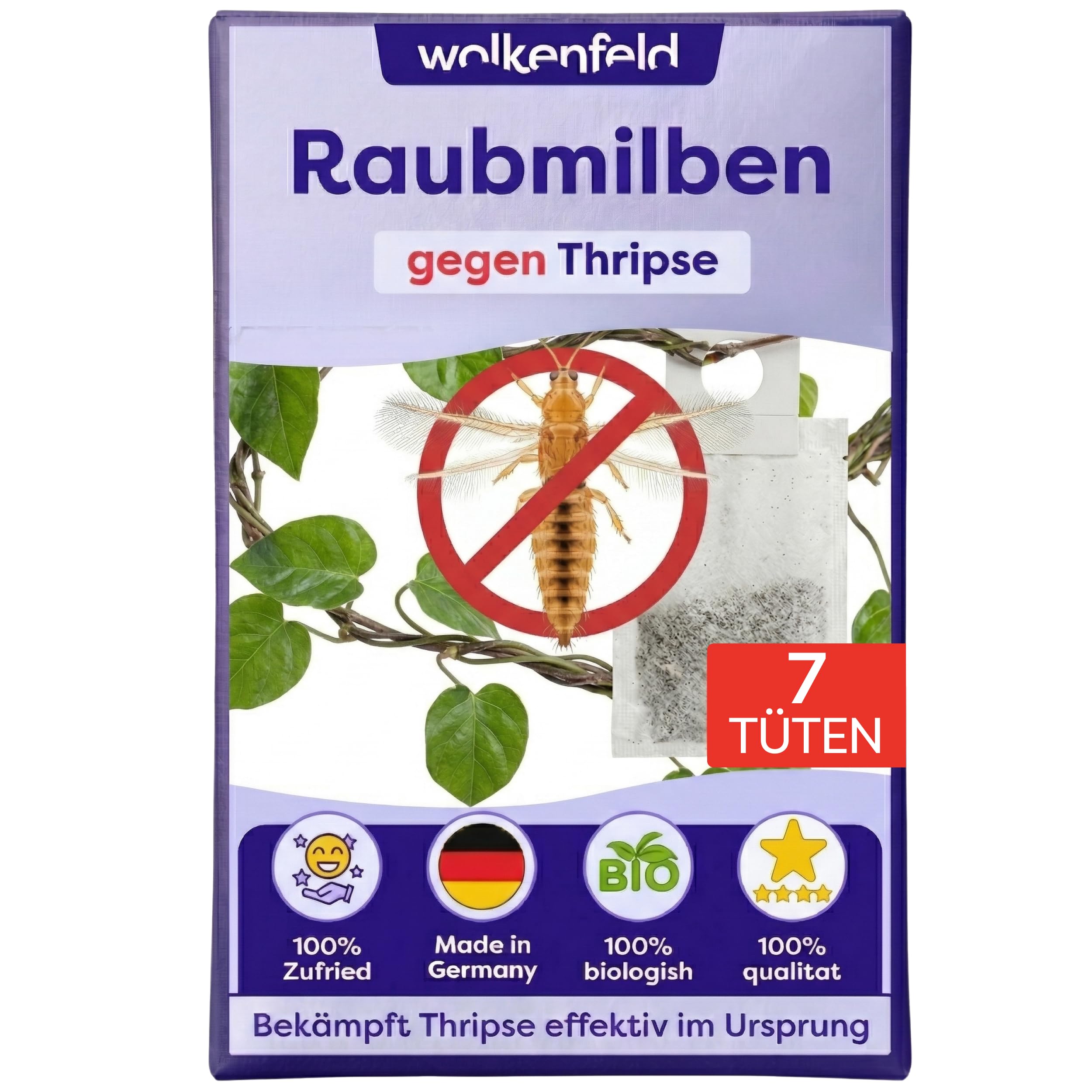 Wolkenfeld | Neulabs