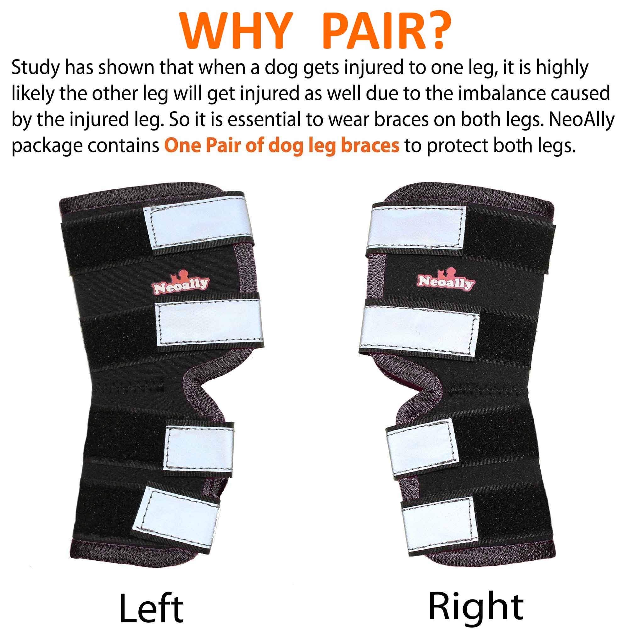 Buy NeoAlly Pair Dog Rear Leg Brace Canine Rear Hock Joint Support with