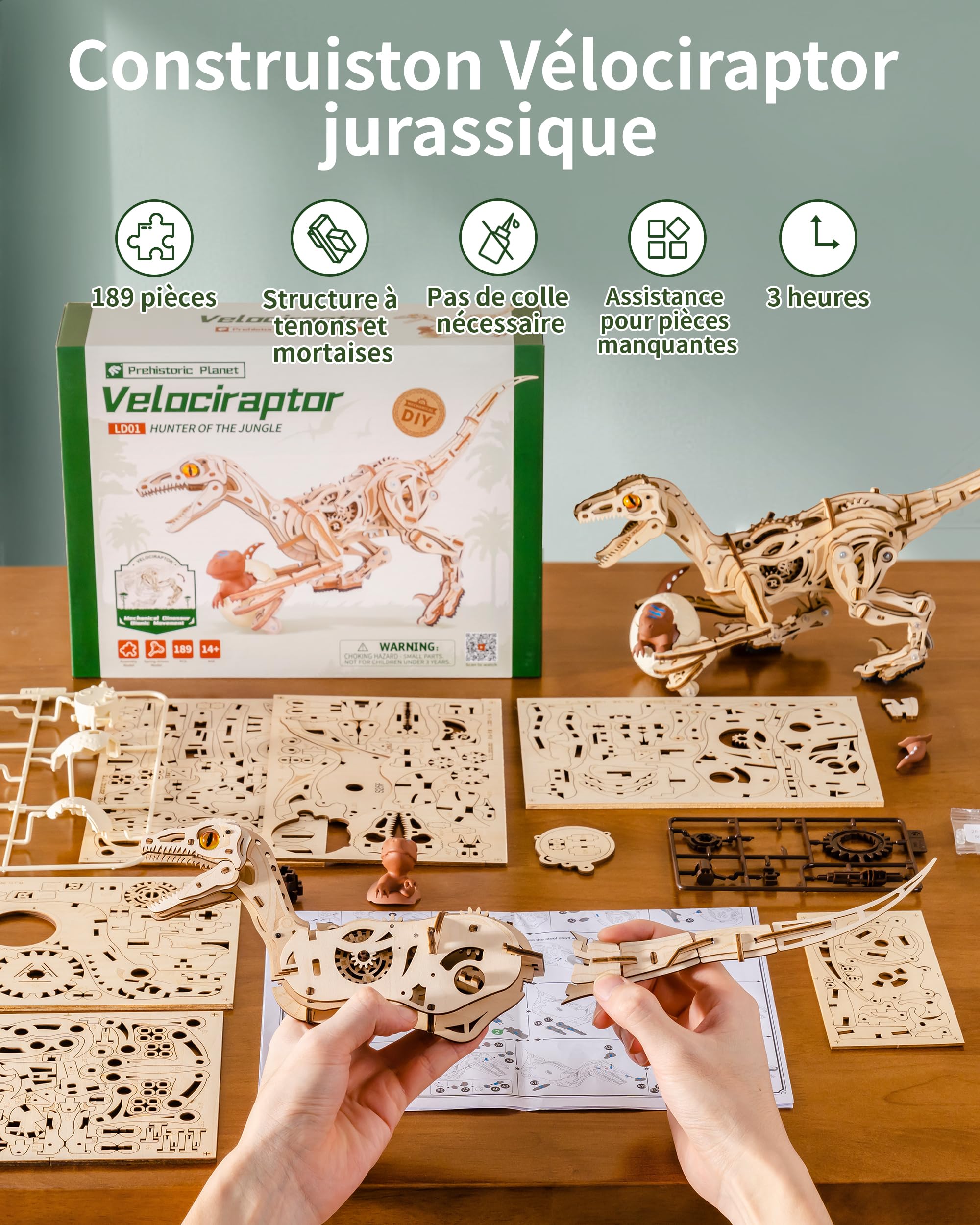 ROBOTIME Puzzle 3D Dinosaurier Kit pour Adultes & Enfants, Modèle Velociraptor à Remonter, Jouet Éducatif STEM, Kit Construction Mécanique, LD01