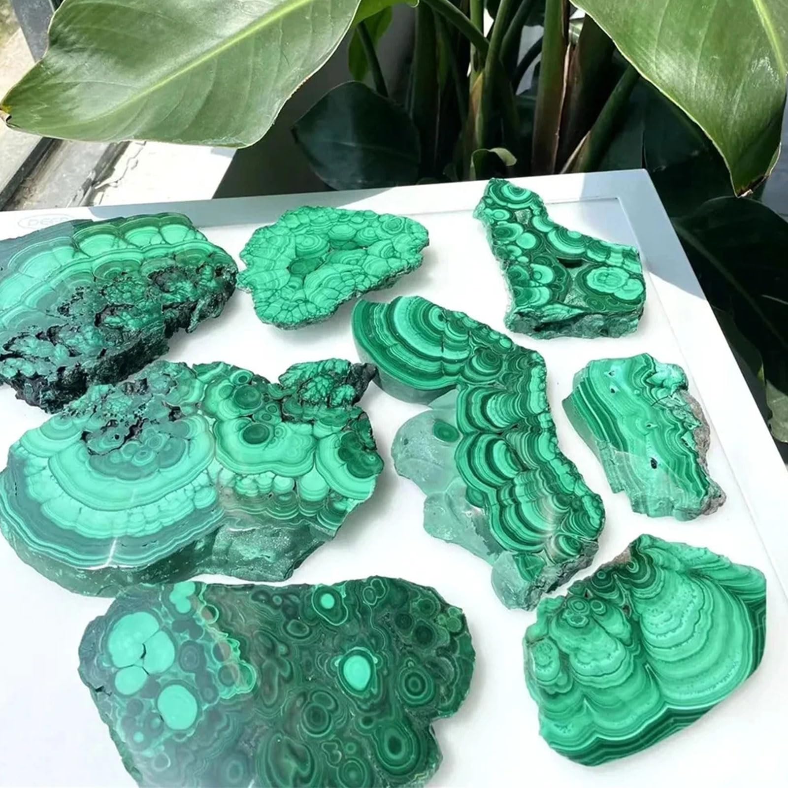 Fette di Cristallo di Malachite Naturale 1PC Campione Minerale Verde Pietra Grezza Irregolare per la Meditazione Reiki Fai-da-Te lucidata, la Decorazione della casa,300~400g