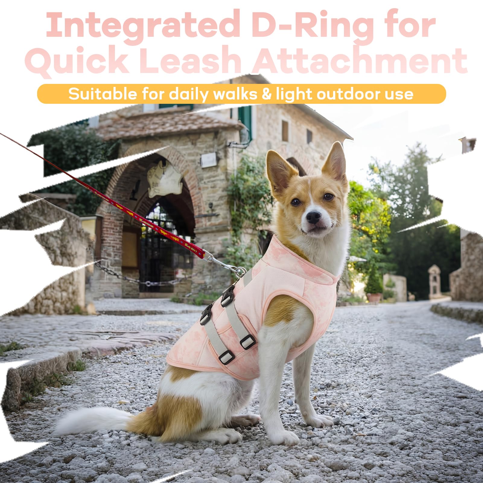 Cappotto Rinfrescante Cane Estivo | Gilet Traspirante con Anello D Integrato | Regolabile | Leggero e Anti Scivolo | Ideale per Passeggiate e Viaggi (Rosa Brezza M)