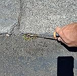 Review Image by A Guy A Guy