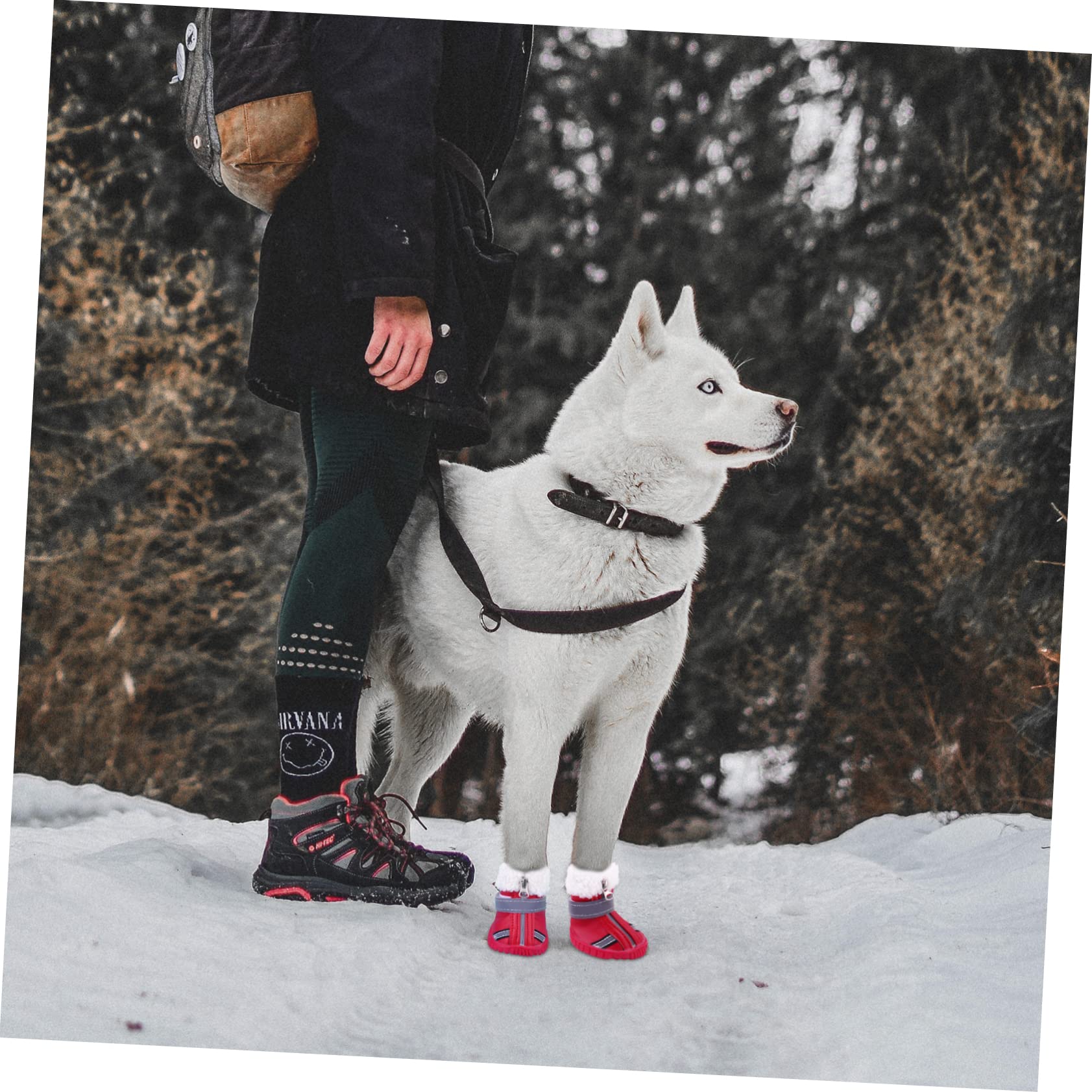 YARNOW 8 Pièces Chaussures de Automne Hiver Bottes pour Chiots pour Petits Chiens Chaussures Chihuahua Animal de Compagnie Protecteur de Patte de protecteurs de Pattes Animaux