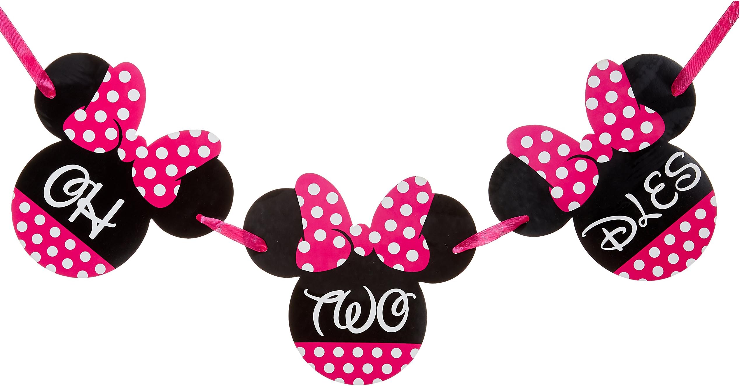 Signatives Oh Twodles Birthday Party Supplies- Minnie Mouse 2nd Birthday Banner - Minnie Mouse Party Decors