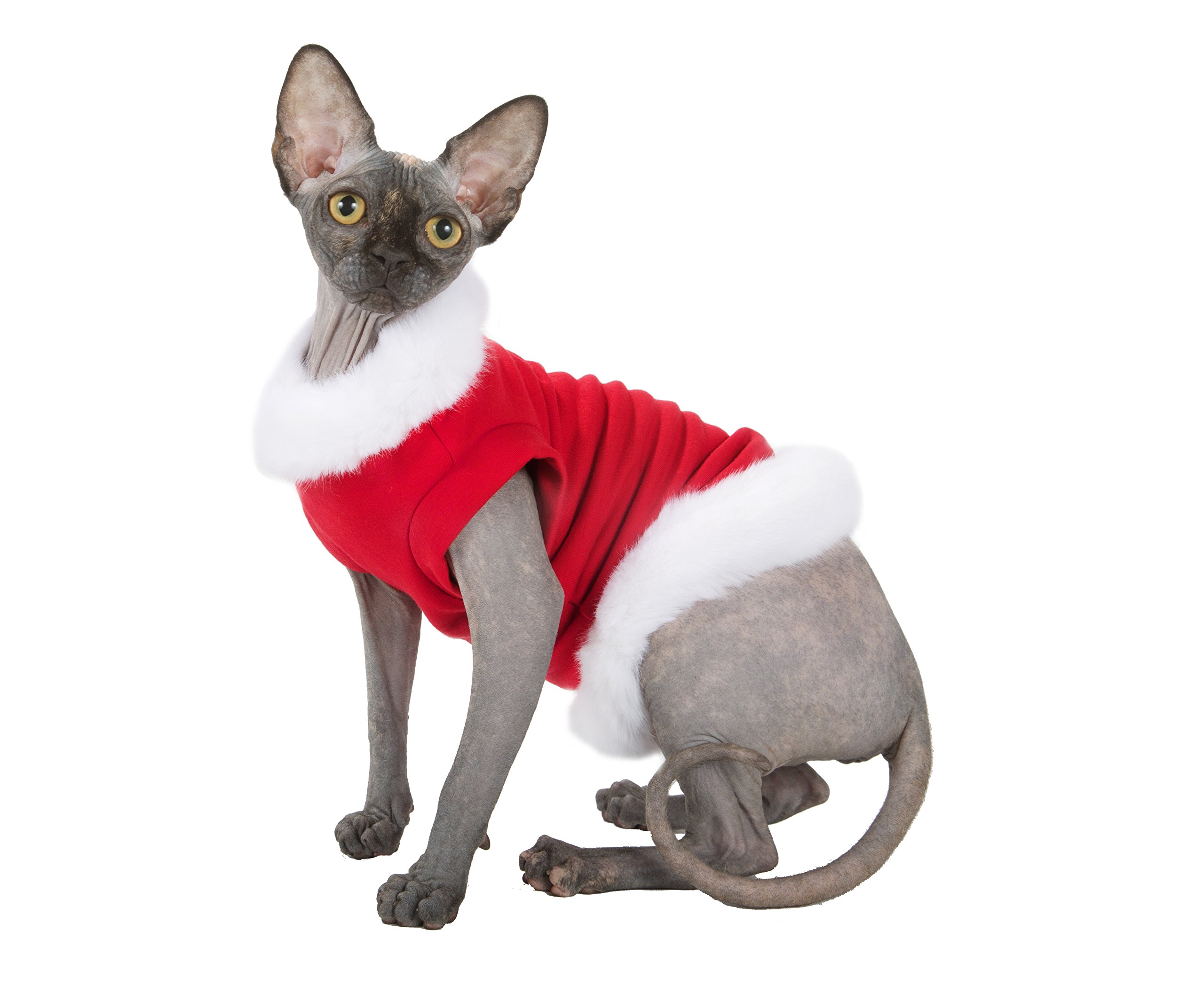 Pull pour chat Santa Klaus XS pour les photos de Noël en famille
