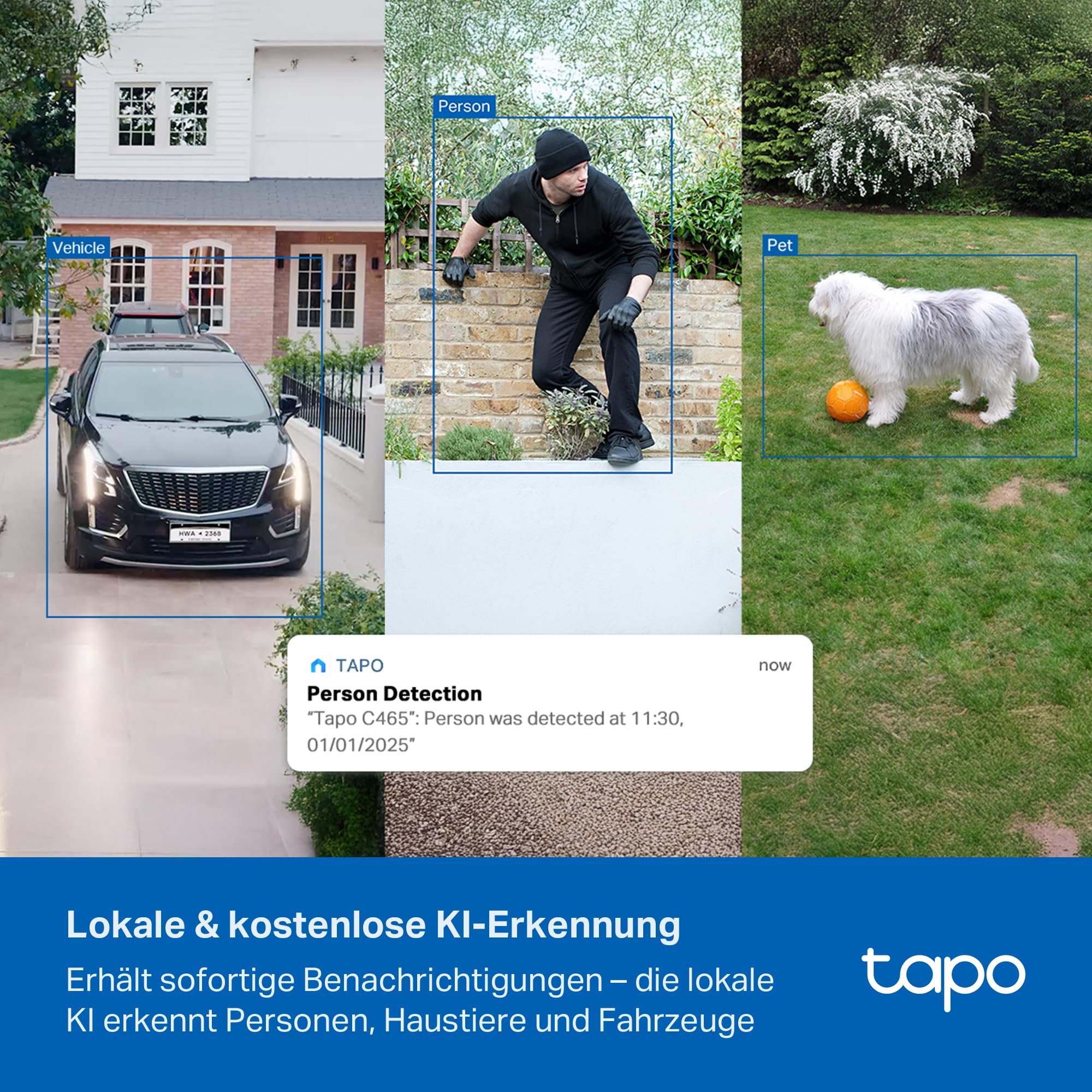 Tapo C465 Solar Außenkamera Akku, 4K 8MP, Farbnachtsicht, kostenlose KI-Erkennung, 2-Wege-Audio, lokale Speicherung über microSD-Karte oder H500-Homebase, 2,4 GHz / 5 GHz WLAN, Magnethalterung