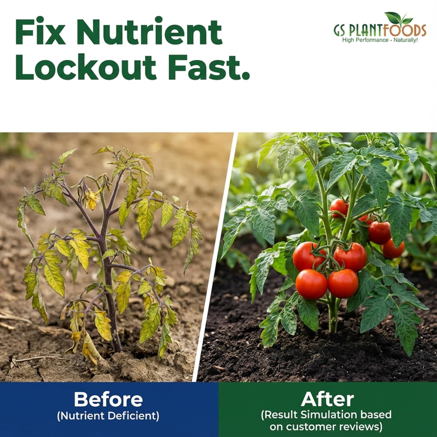 GS Plant Foods Liquid Fish & Kelp Fertilizer (1 gallon) – Organic Material Review Institute Listed Natural Plant Food for Home Gardens, and Vegetables - Image 3