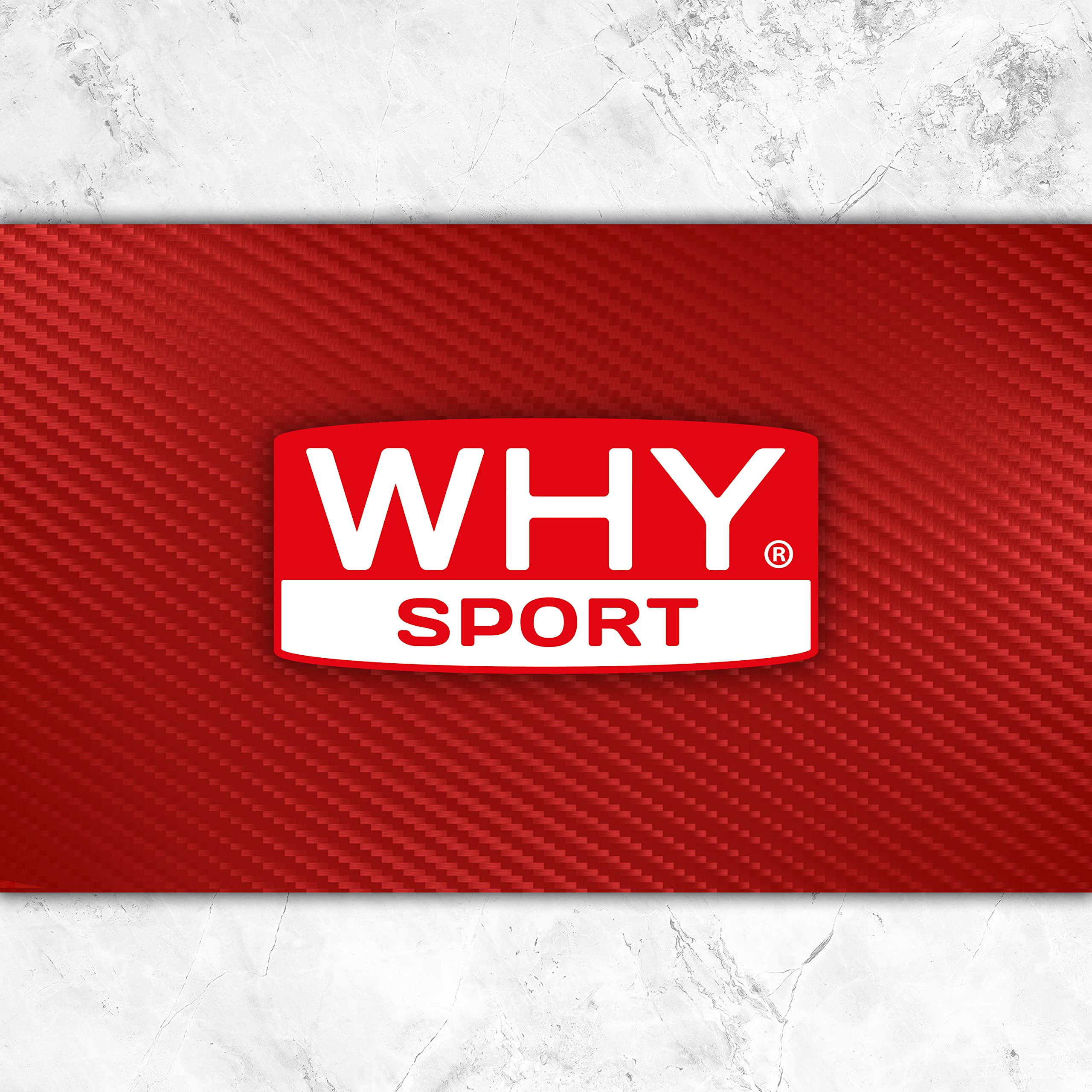 WHY SPORT ALA 500 - Acido Alfa Lipoico - Integratore a Base di Acido Lipoico - Antiossidante - 60 Compresse