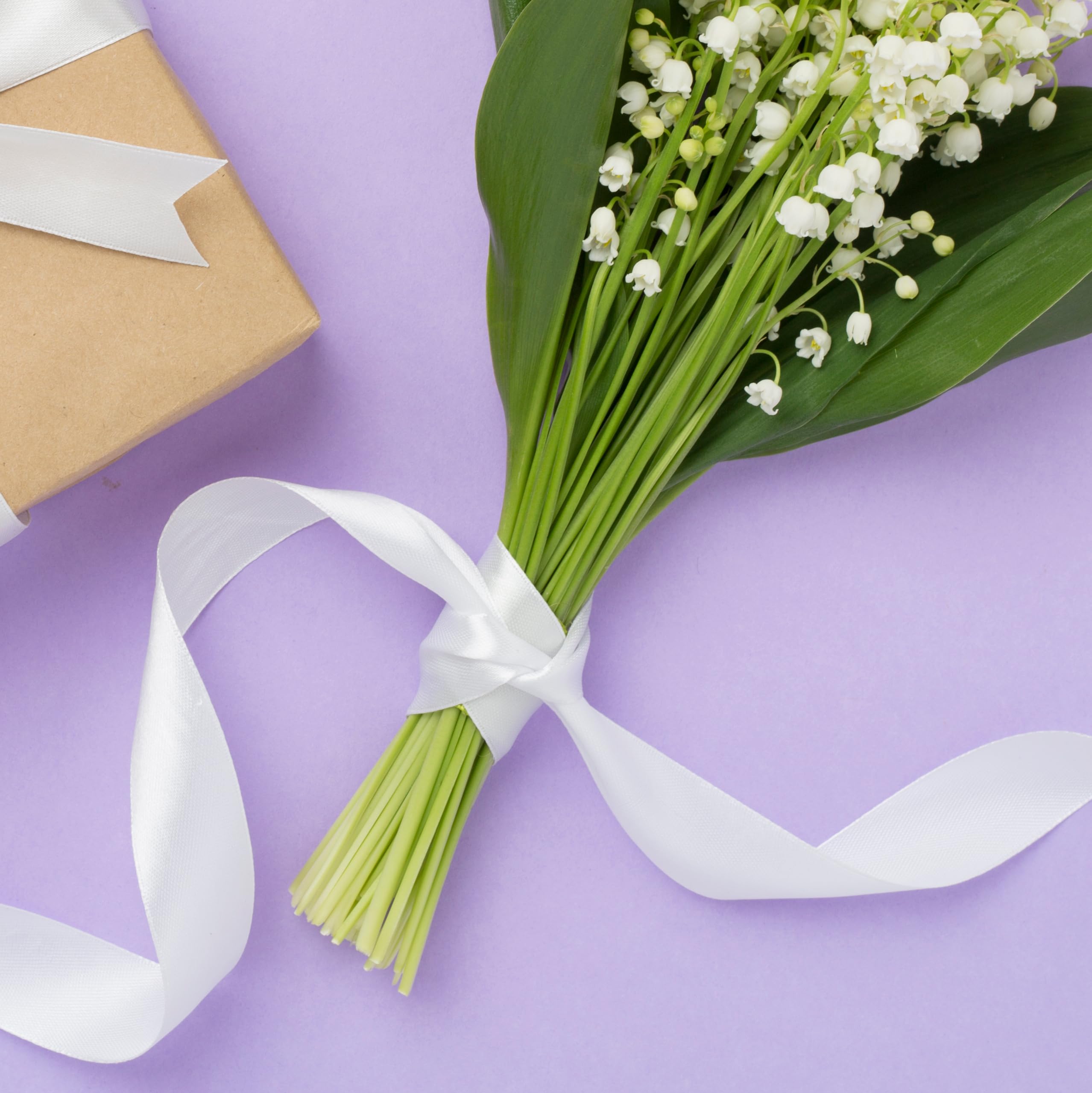 Dooozy