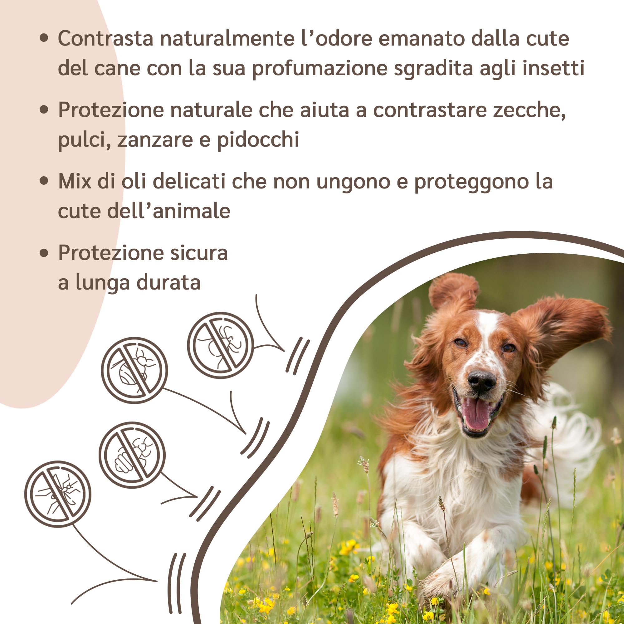 amusi Fiale Protettive Olio di Neem per Cani- 12 Fiale da 1 ml - Anti Insetti Antipulci per cani - Pipette antiparassitario cani naturale - Lunga Durata e Protezione Naturale Effetto Scudo