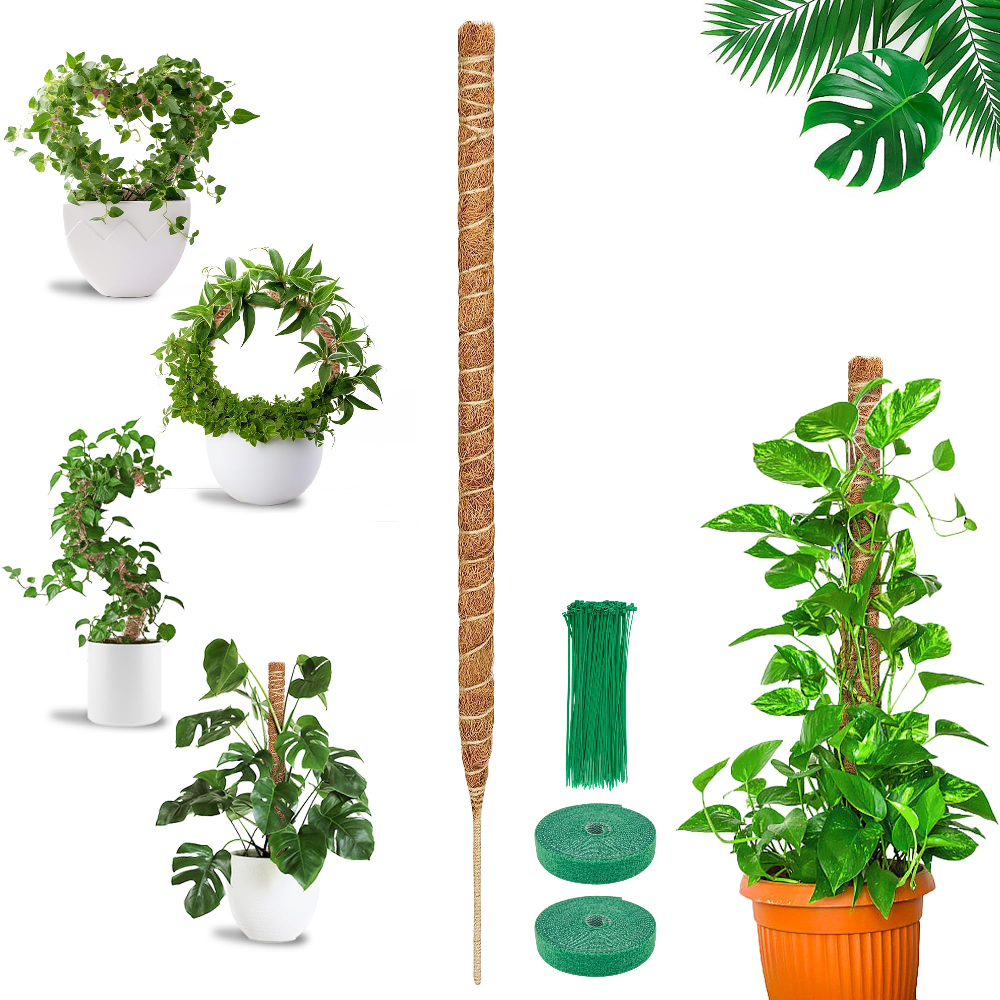 Moss Pole, 1Pcs 63'' Moss Pole for Monstera, Bendable Cheese Plant Support, Coco Coir Pole for Indoor Climbing Plants, Monstera Support, Plant Sticks Support for Creeper Plants Grow Upwards