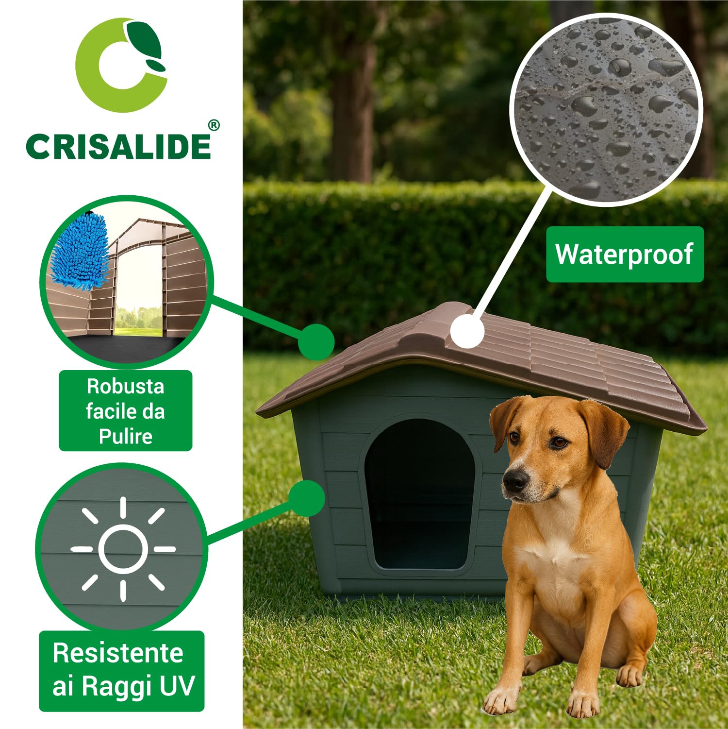 Crisalide – Cuccia per Cani Grande | Robusta, Impermeabile e Resistente ai Raggi UV | Facile da Montare e Pulire | Ideale per Esterni e Interni, 3 dimensioni (XL)