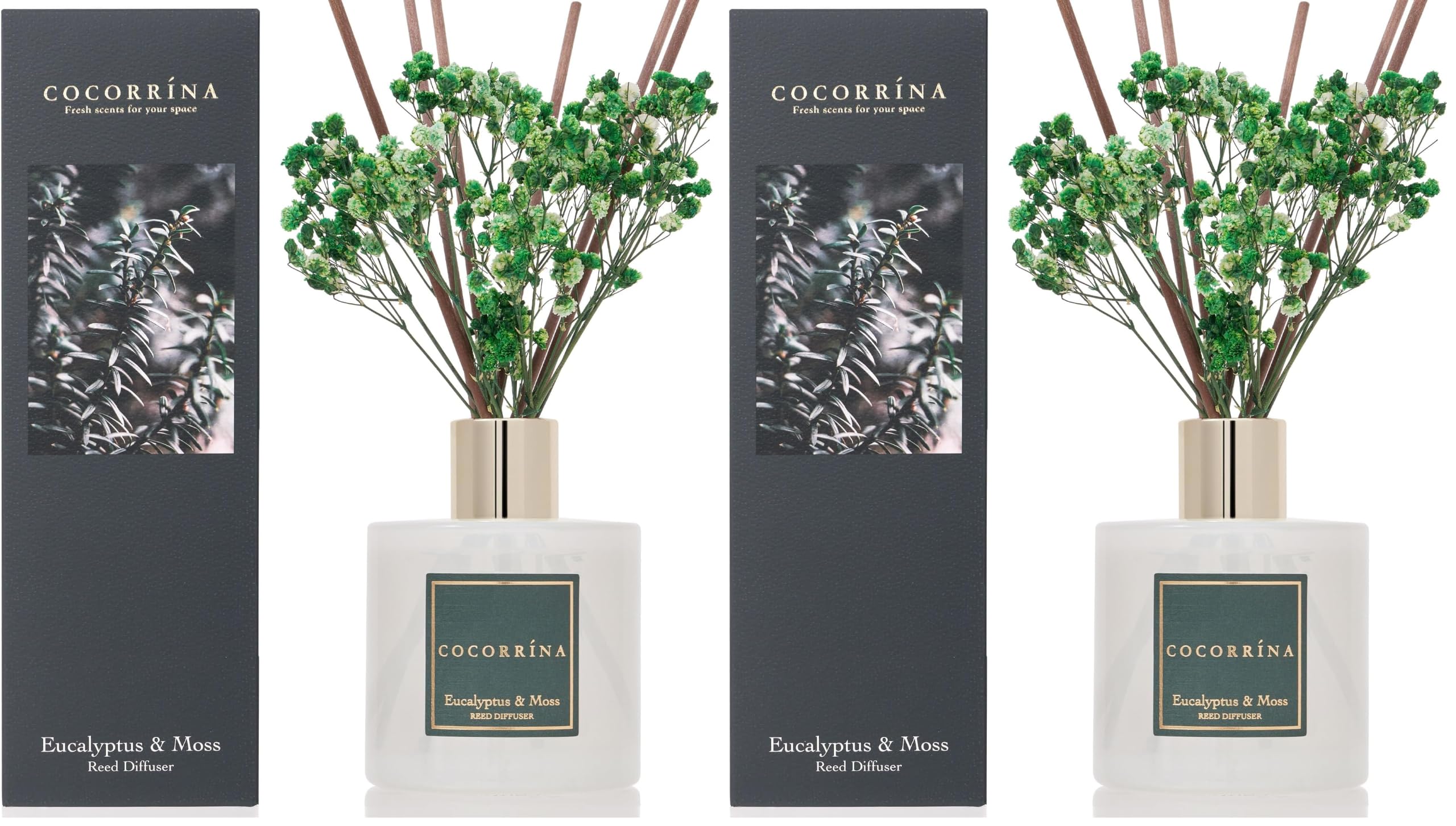 Cocorrína Reed Diffuser Sets- Eucalyptus &amp; Moss Scented Diffuser with Sticks Home Fragrance Reed Diffuser for Bathroom Shelf Decor (Pack of 2)