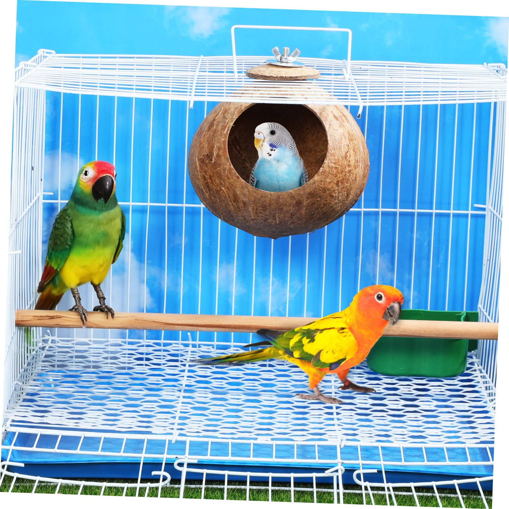balacoo Vogelhaus aus Kokosnussschalen, natürliche Kokosnuss-Schale, Vogelkäfig für Wellensittiche, Papageien, Haustiere