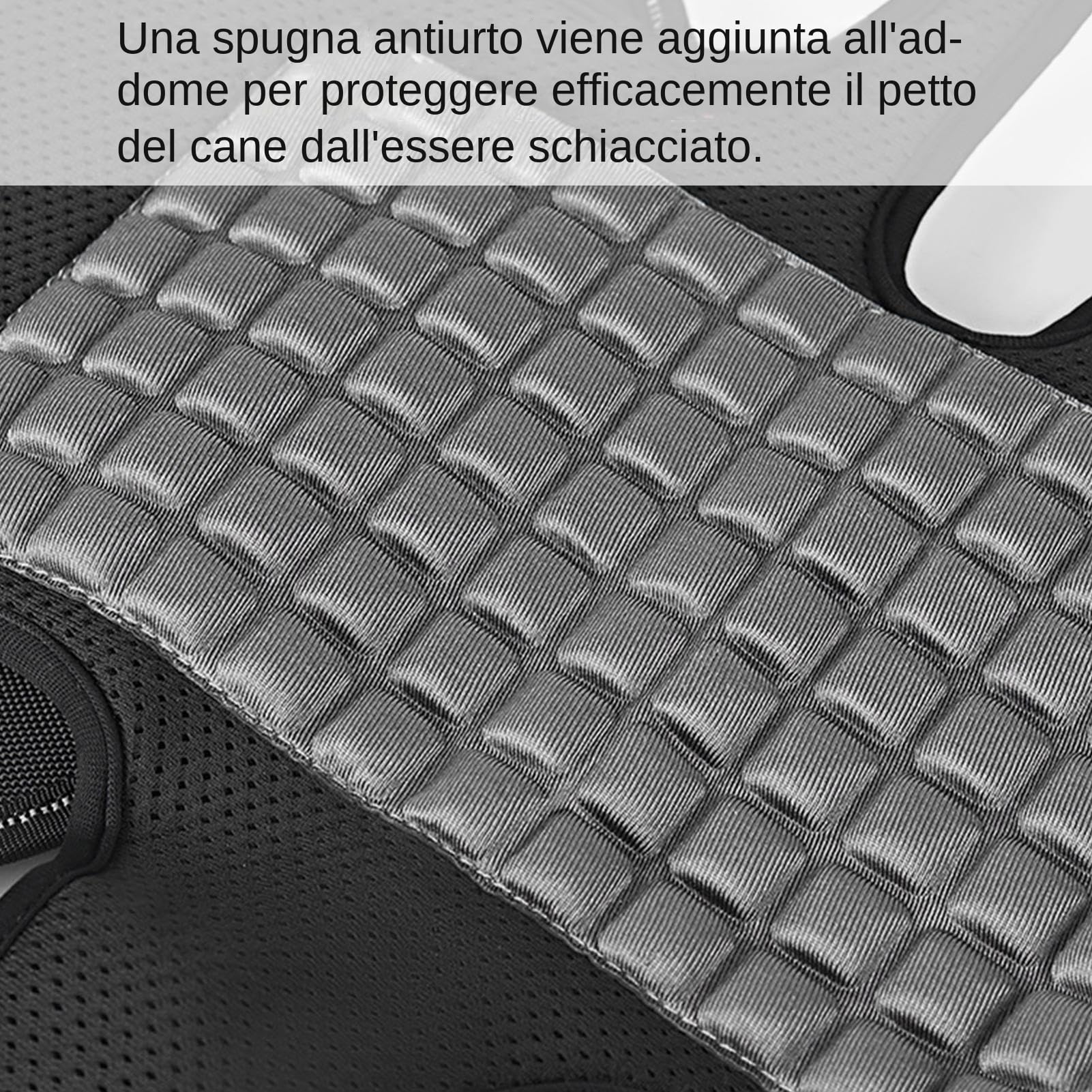 Cinturón para perros - Soporte para el cuerpo del portador profesional | ENVASES TEVIO OXFORD con patas delanteras de cinturón | Carrier para perros para coche Motorrad Reisen |