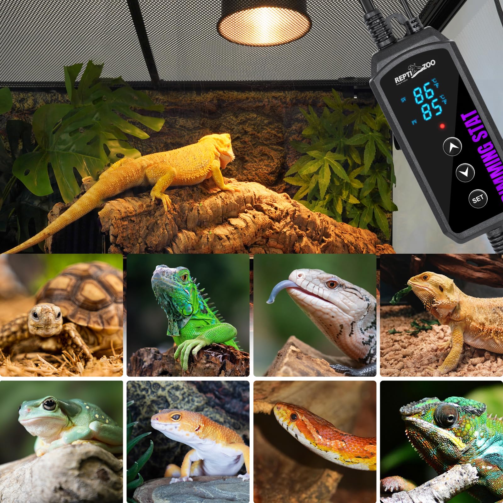 REPTI ZOO Reptile Dimming Thermostat, PID Heat Lamp Temperature Controller with LED Digital Screen for Reptile Heat Lamp Heat Mat & Heaters, Memory Function - image 4