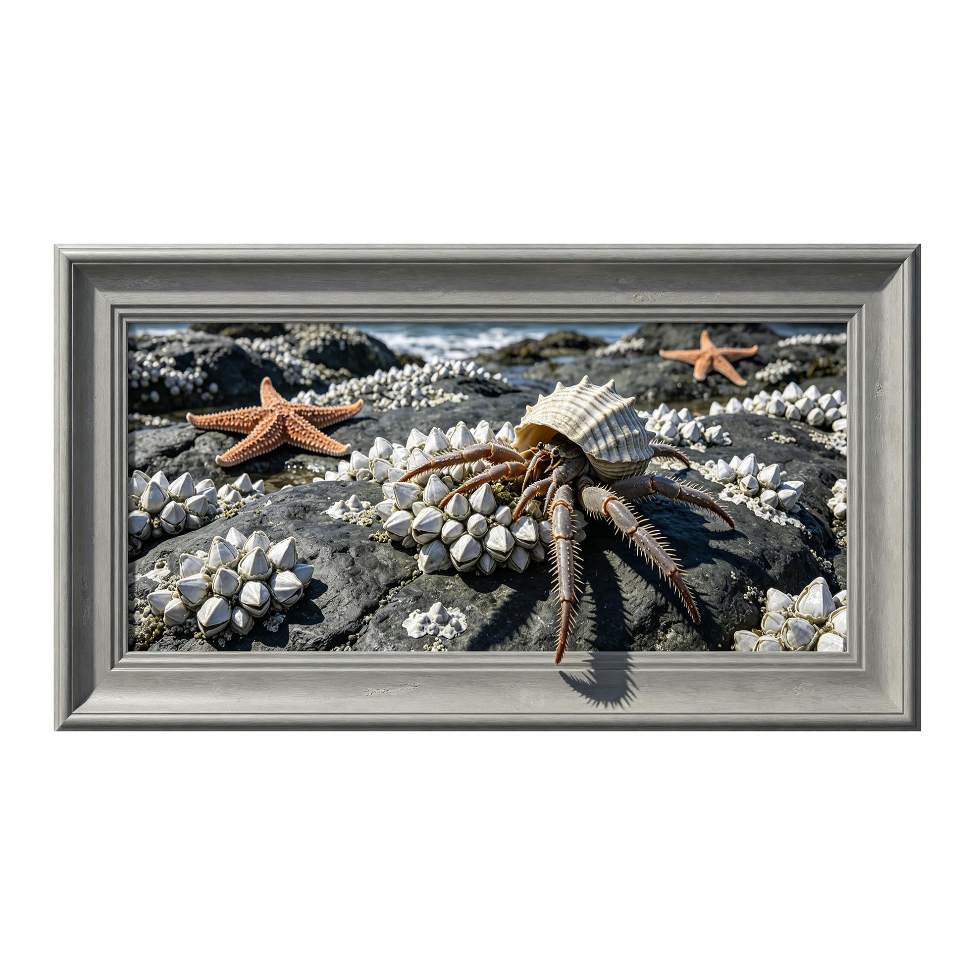 Yzpallescene 3D Framed Wall Art 50cm×100cm Coastal Marine Hermit Crab Starfish Realistic Panoramic Large Size SelfAdhesive Removable Wall Decor Prints Artwork for Living Room Bedroom Office