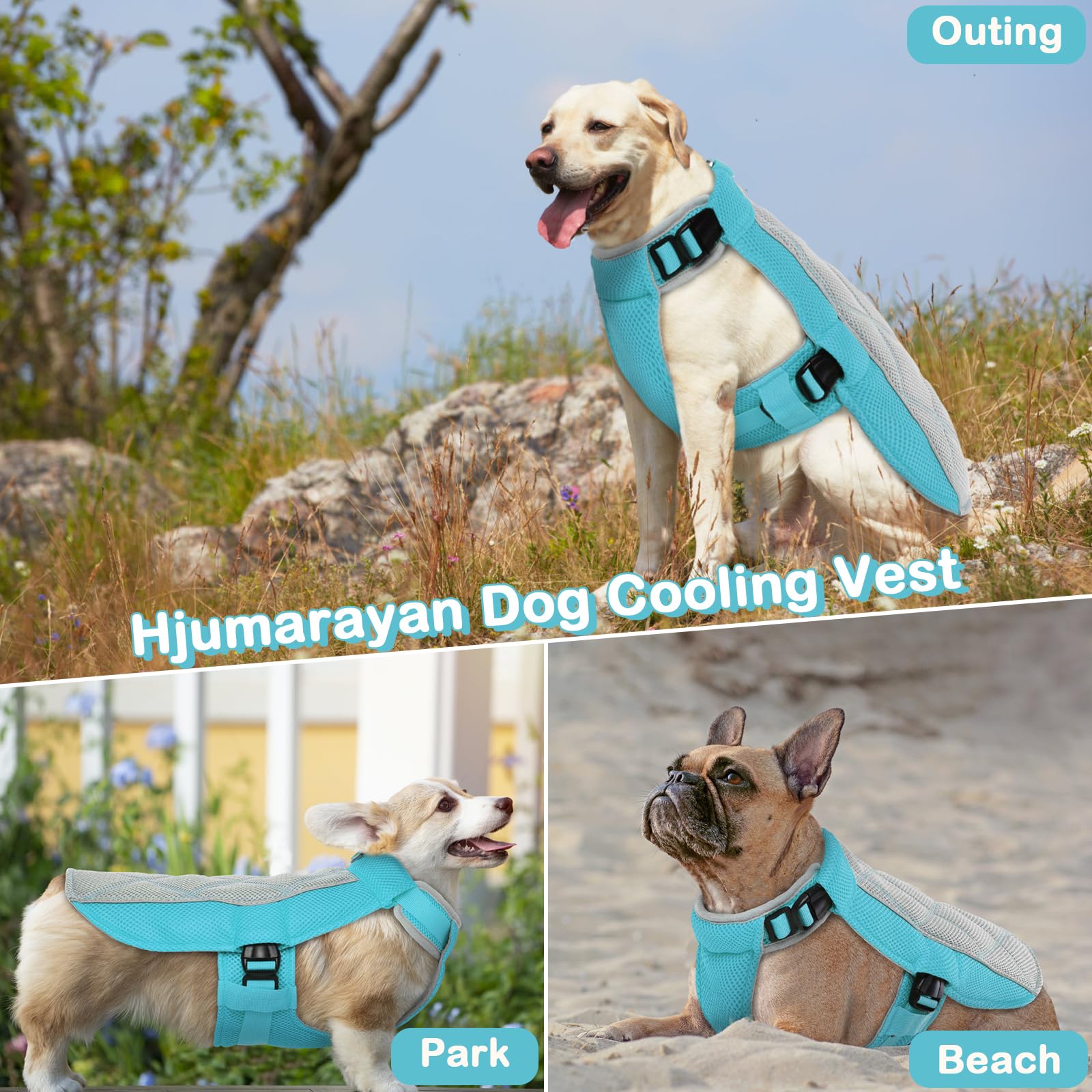 Gilet Rafraichissant pour Chien, Manteau Confortable de Refroidissement Respirant Harnais pour Journées Chaudes d'Eté, Bleu S
