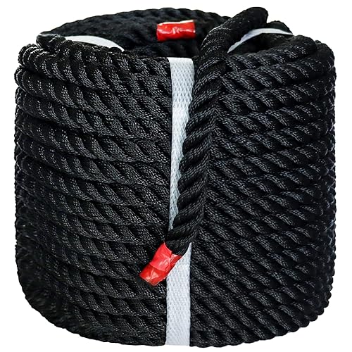 Black Twisted Polyester Arborist Rope (1/2 inch x 100 feet),