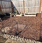 Review Image by Mary Mary