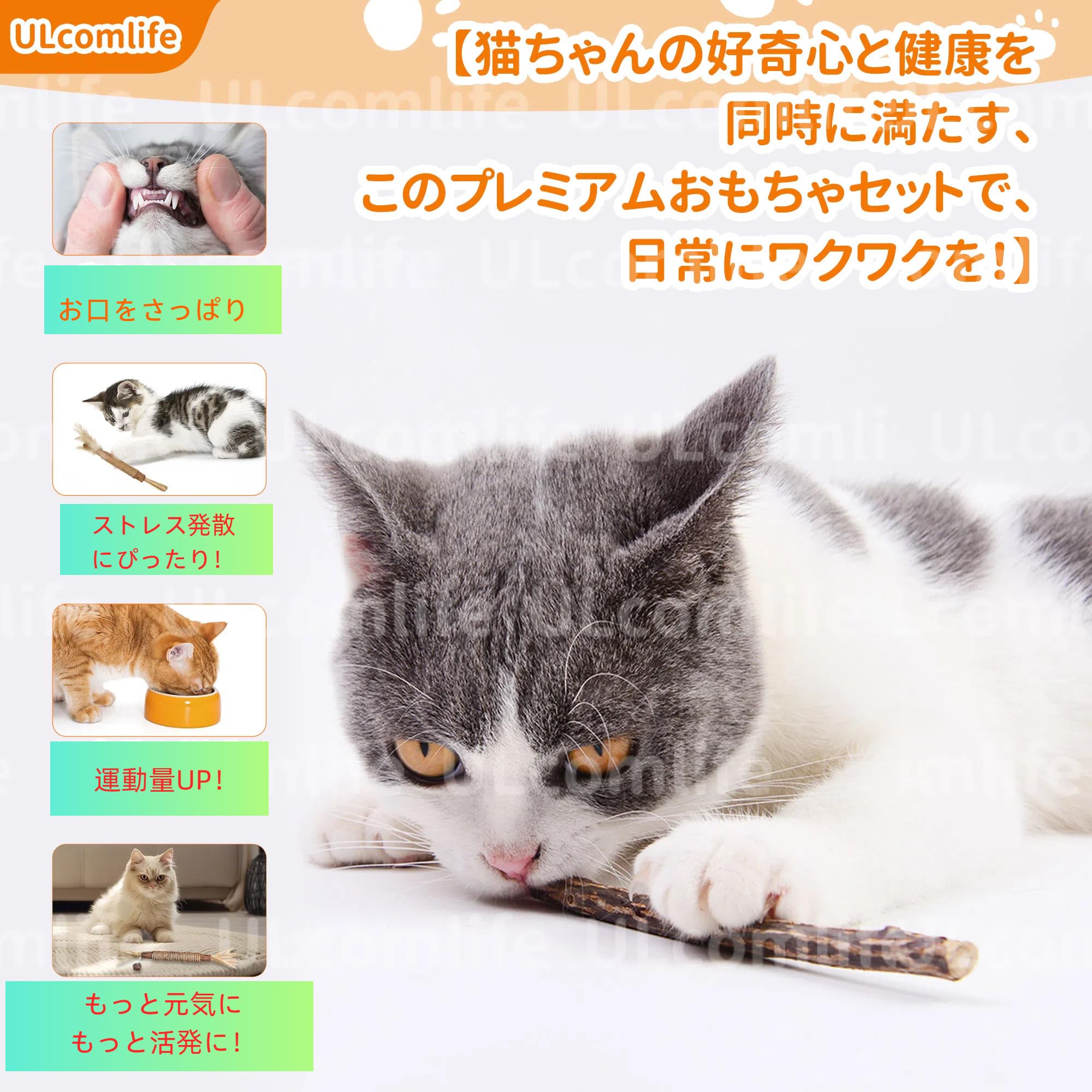 猫ひた　小林希大　グッズ　セット 猫ひた 小林希大 8点 セット 小林希大(きだい) (@kidai_kobayashi) /