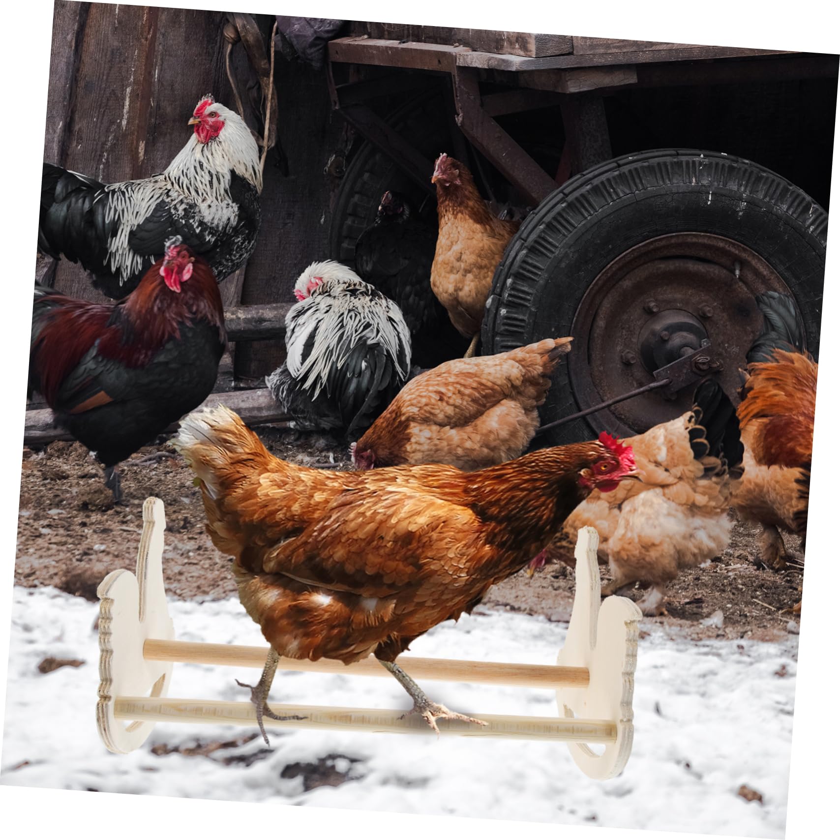 Hen Shaped Swing Rack for Chickens Durable Lightweight Pet Supply for Poultry Play and Comfort Chicken Perch for and Brooders for Parrots and Chicks