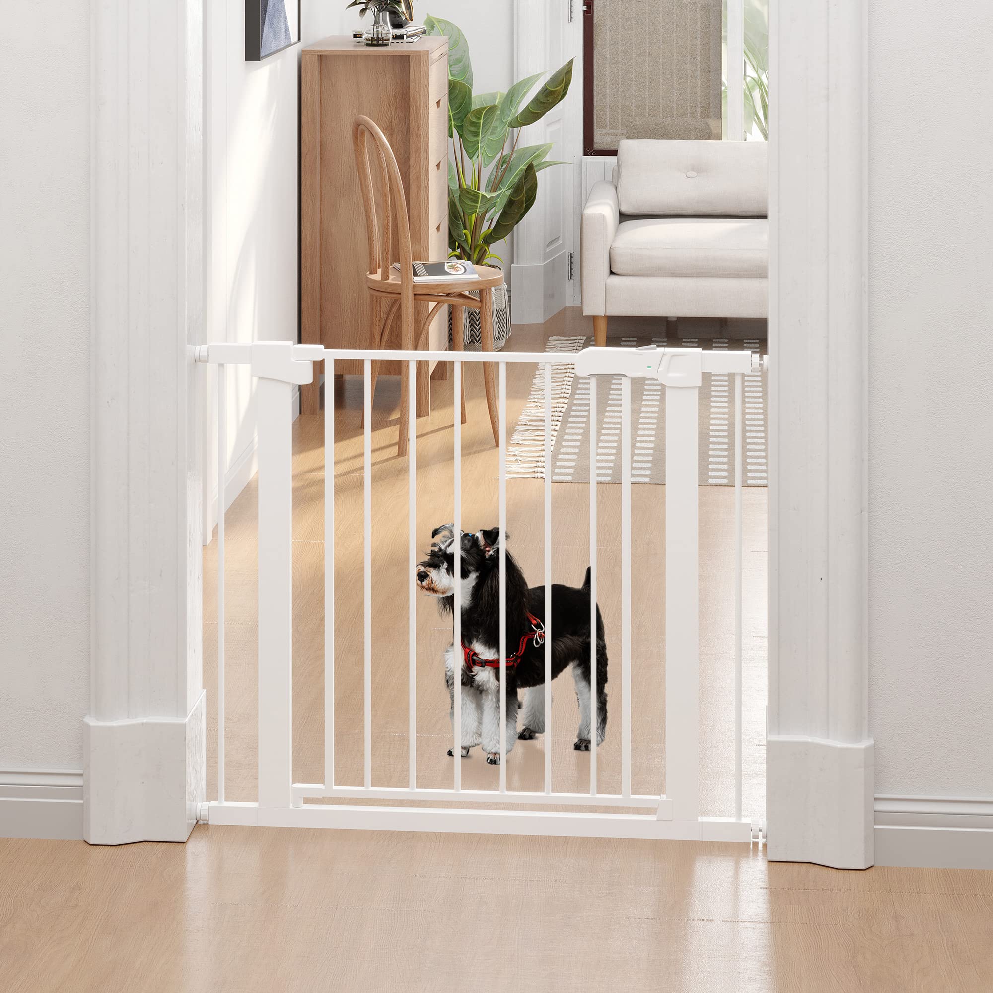 PawHut Barrera de Seguridad de Perros Extensible para Escaleras y Puertas 76-97 cm Valla para Perros con 2 Extensiones de 7 cm Cierre Automático y Marco Metálico Altura 76 cm Blanco