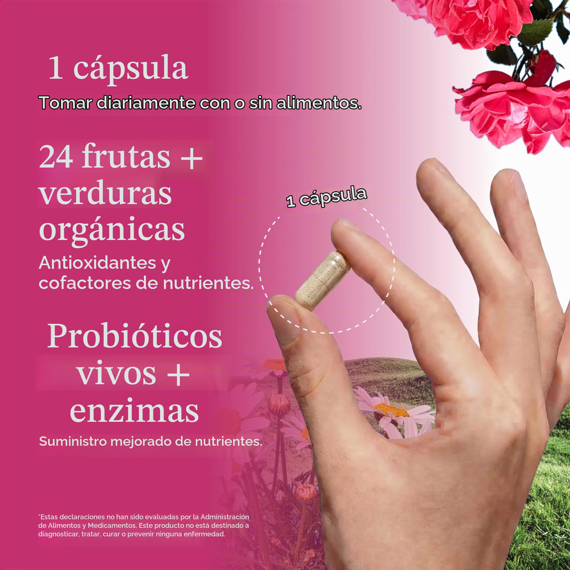 Garden Of Life Vitamin Code Raw One Una Vez Al Día Multivitamínico para Mujeres 75 Cápsulas 150 g