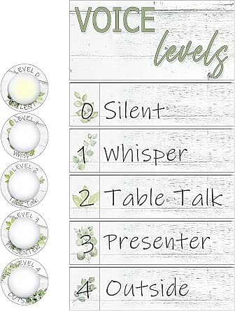 Amazon.com: Glooglitter 5 Pcs School Push Light and Voice Level Poster ...