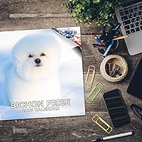 Vista 1340 de Razas de Perros 2017