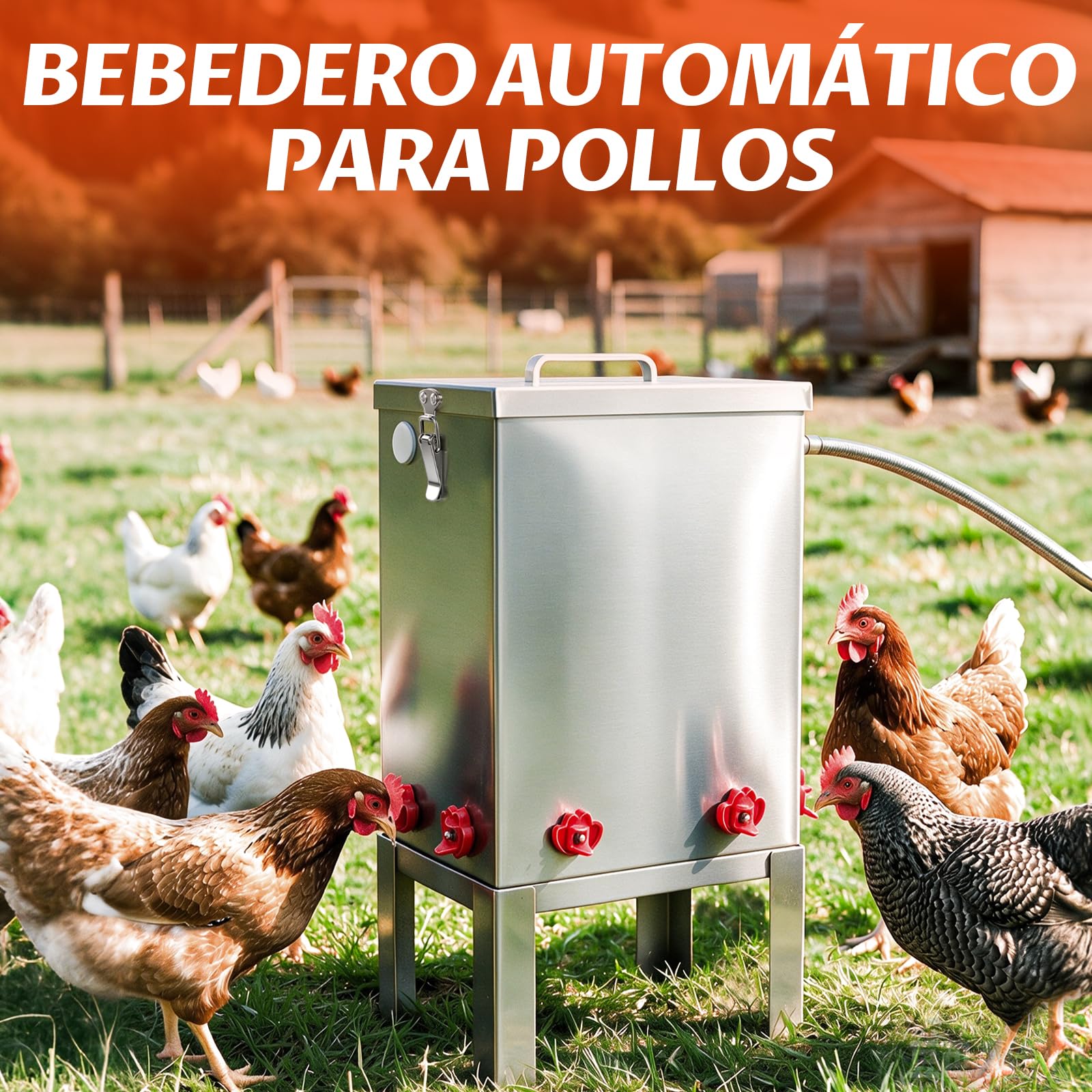 Bebedero AutomáTico para Gallinas de Acero Inoxidable 11 L | Bebedero para Aves con Cuenco de Agua, Soporte de Suelo y Manguera de ConexióN, Ideal para Gallinas, Codornices y Patos